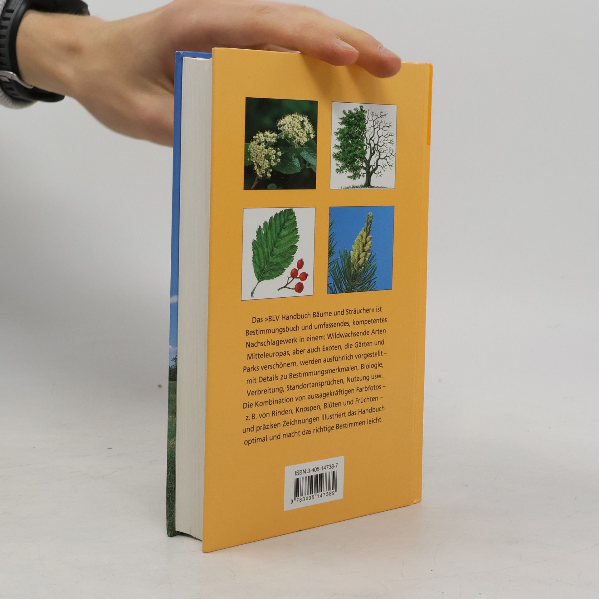 Hans-Ulrich Hecker BLV-Handbuch Bäume und Sträucher