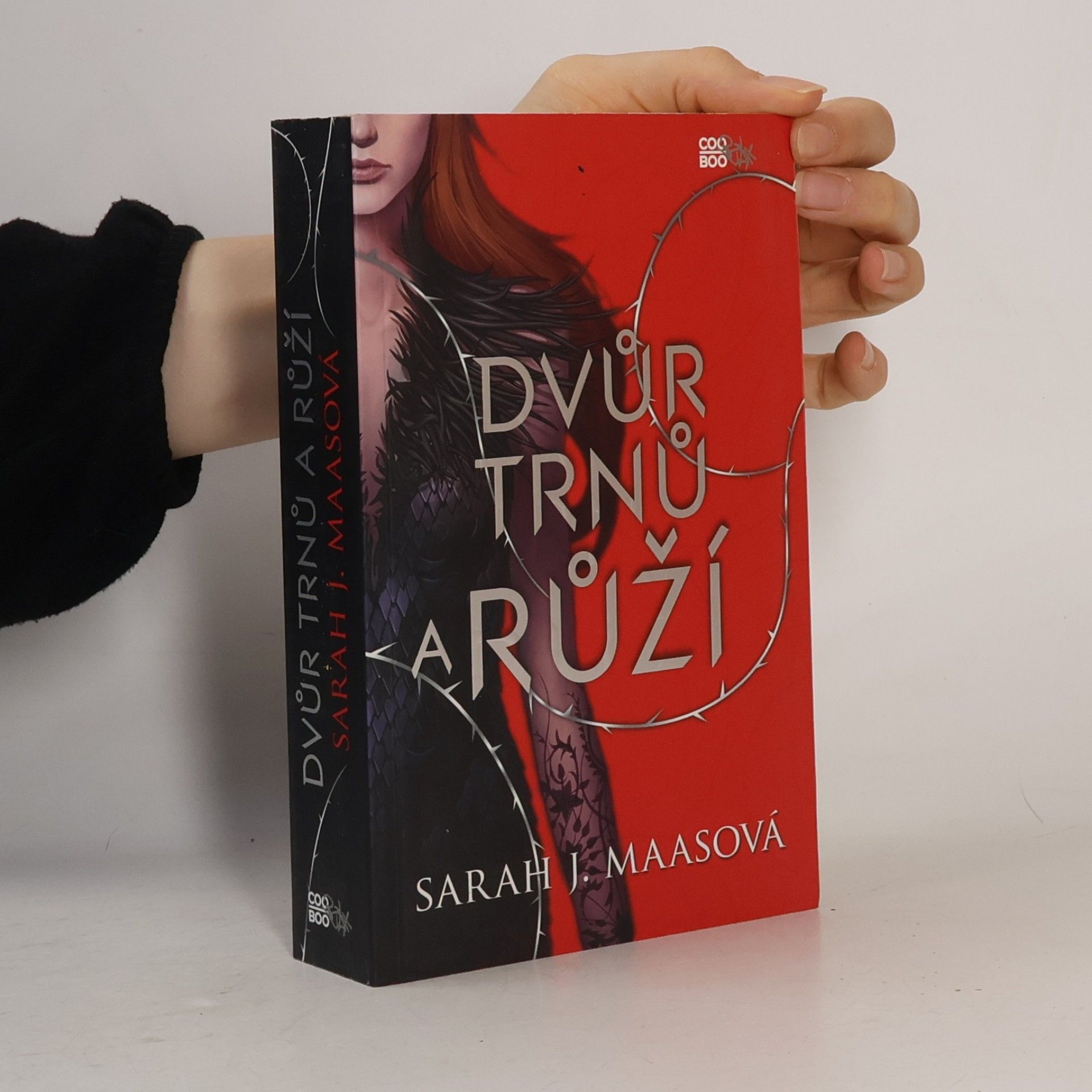 Sarah J. Maas Dvůr trnů a růží