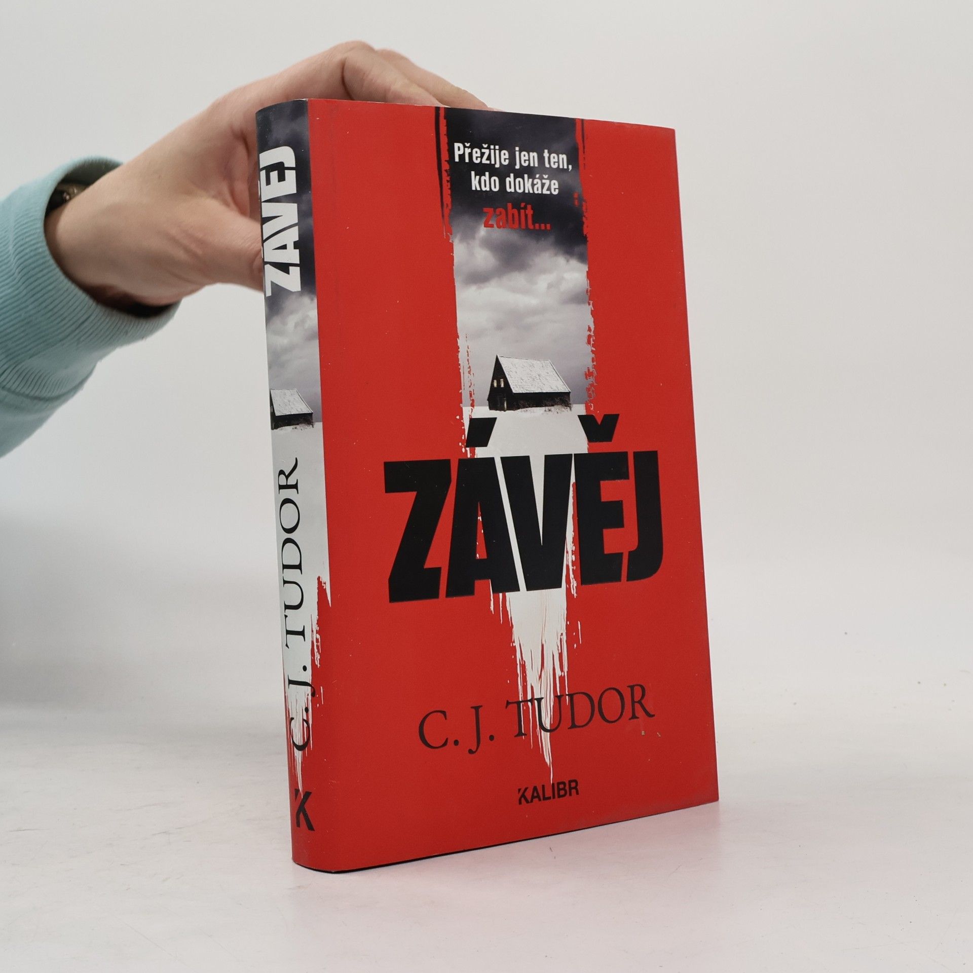 Jana Kunová Závěj