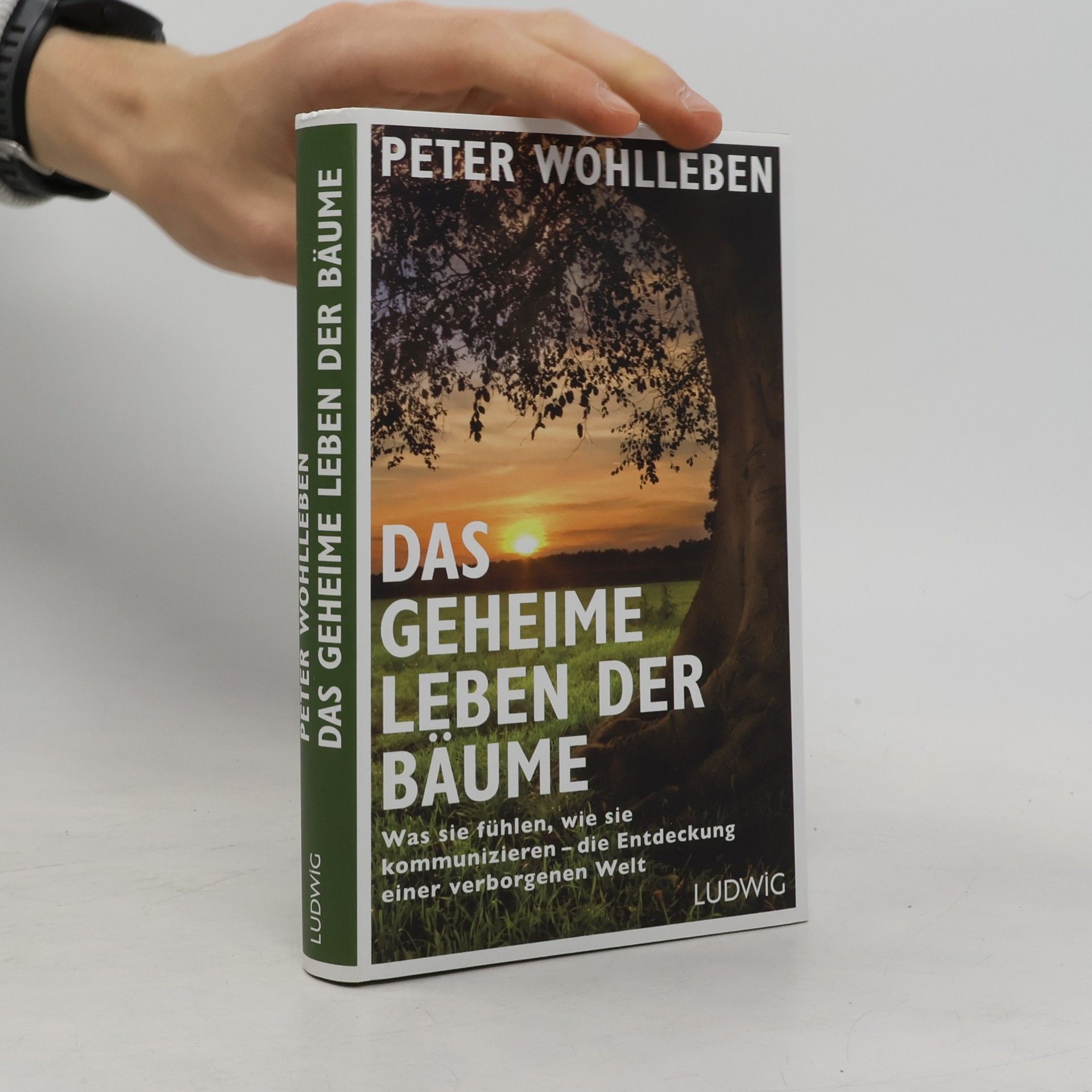 Peter Wohlleben Das geheime Leben der Bäume