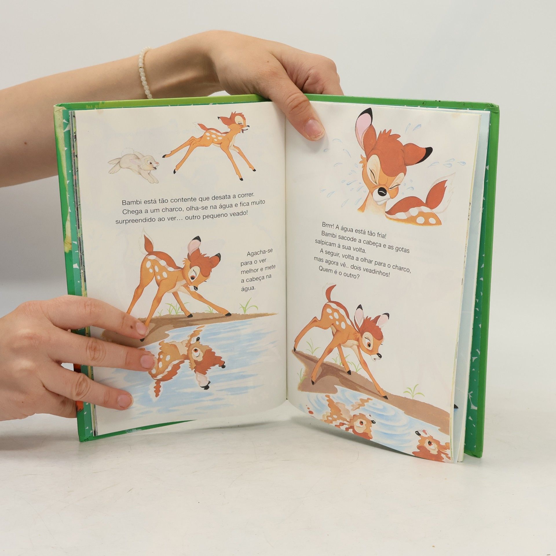 Walt Disney Company Bambi