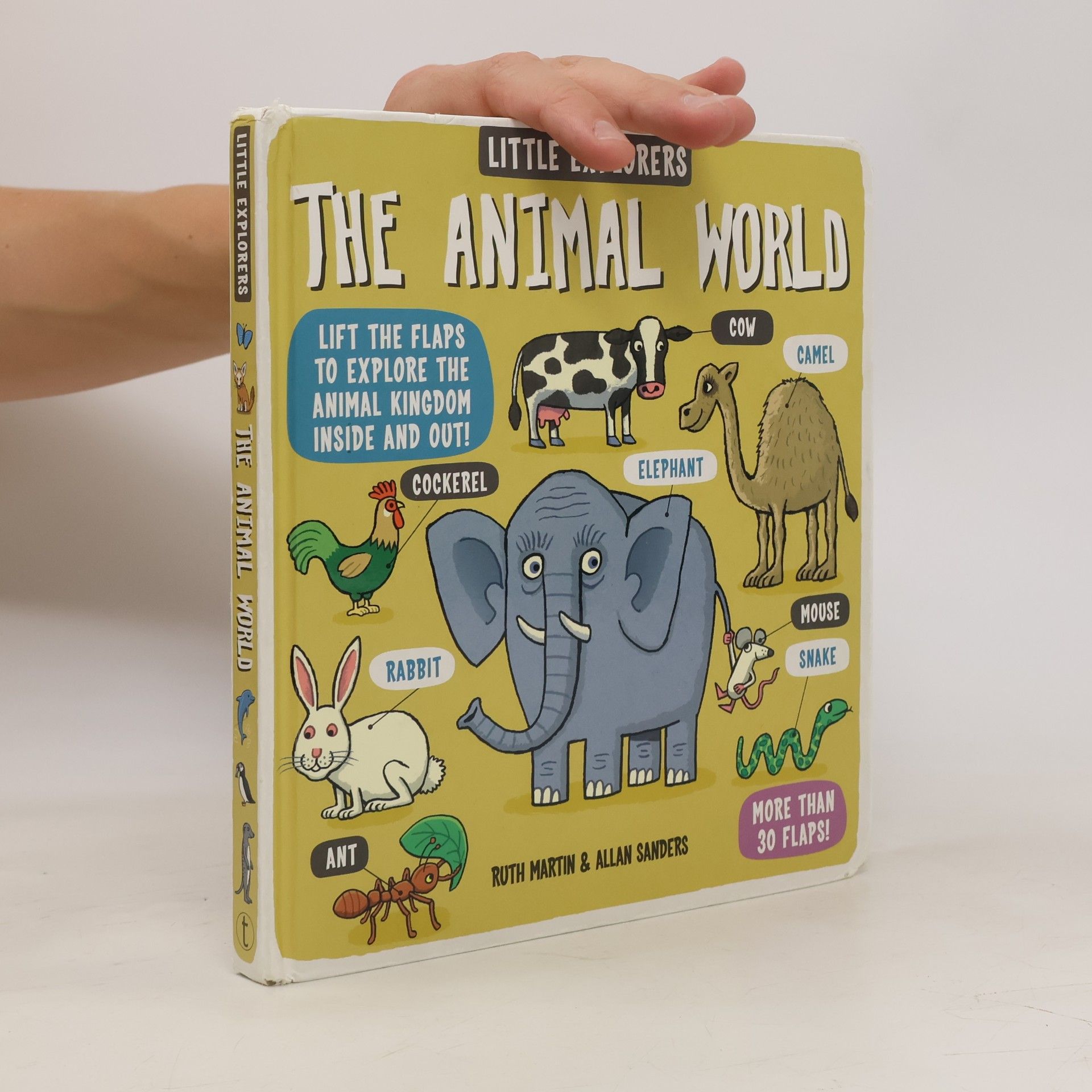 kolektiv The Animal World. Little Explorers