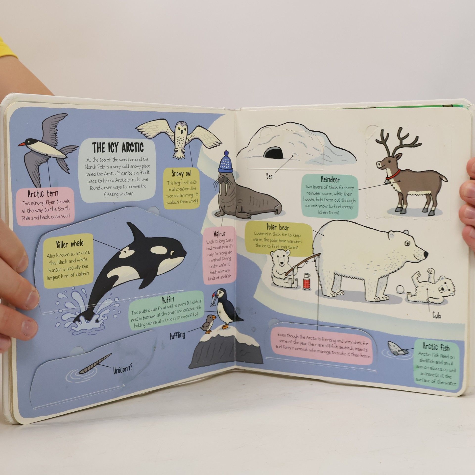 Various authors The Animal World. Little Explorers