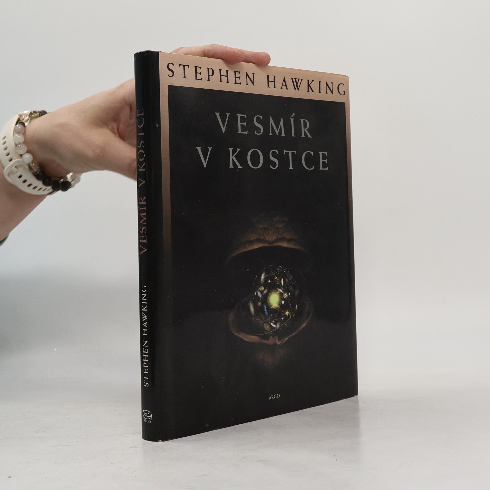 Stephen Hawking Vesmír v kostce