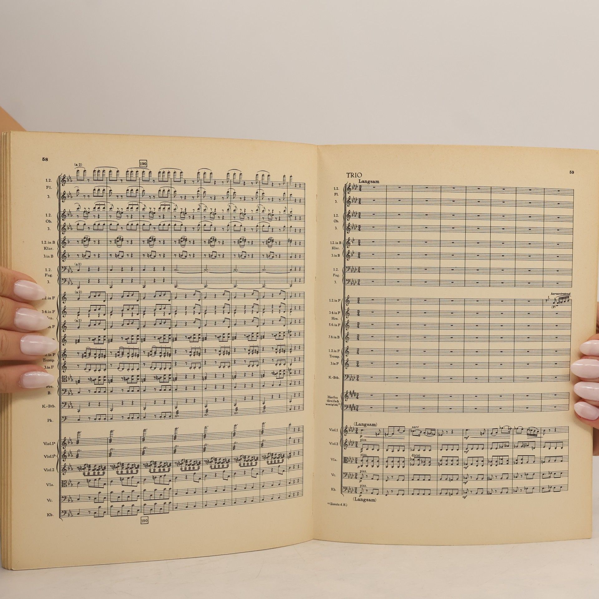 Anton Bruckner VIII. Symphonie C-moll