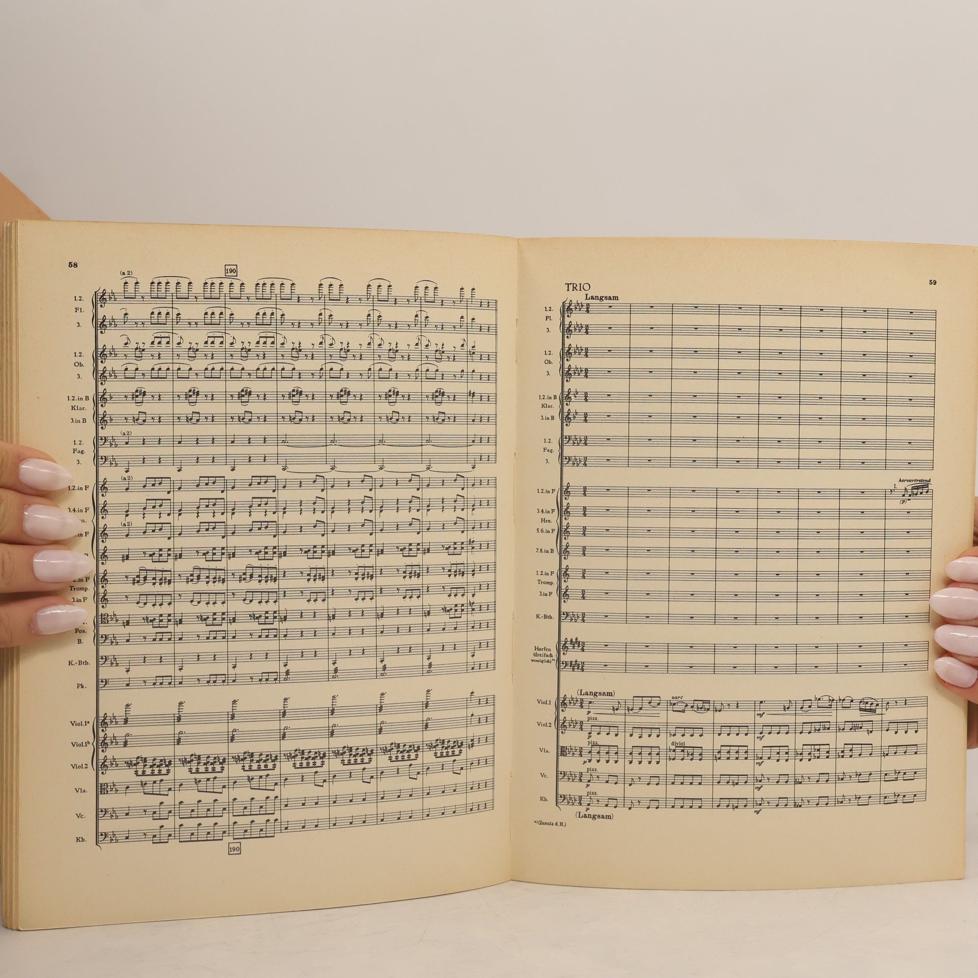 Anton Bruckner VIII. Symphonie C-moll