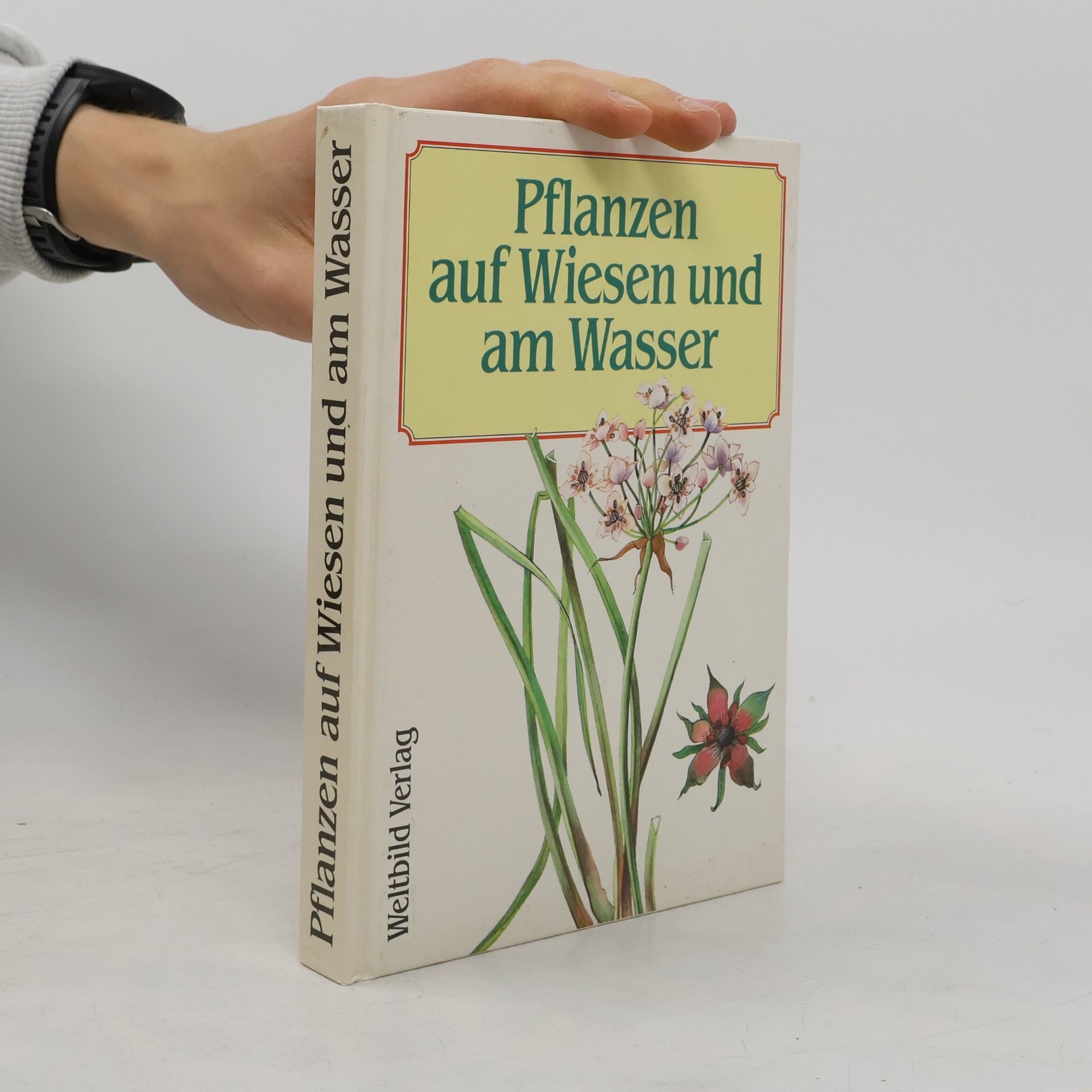 Václav Větvička Pflanzen auf Wiesen und am Wasser