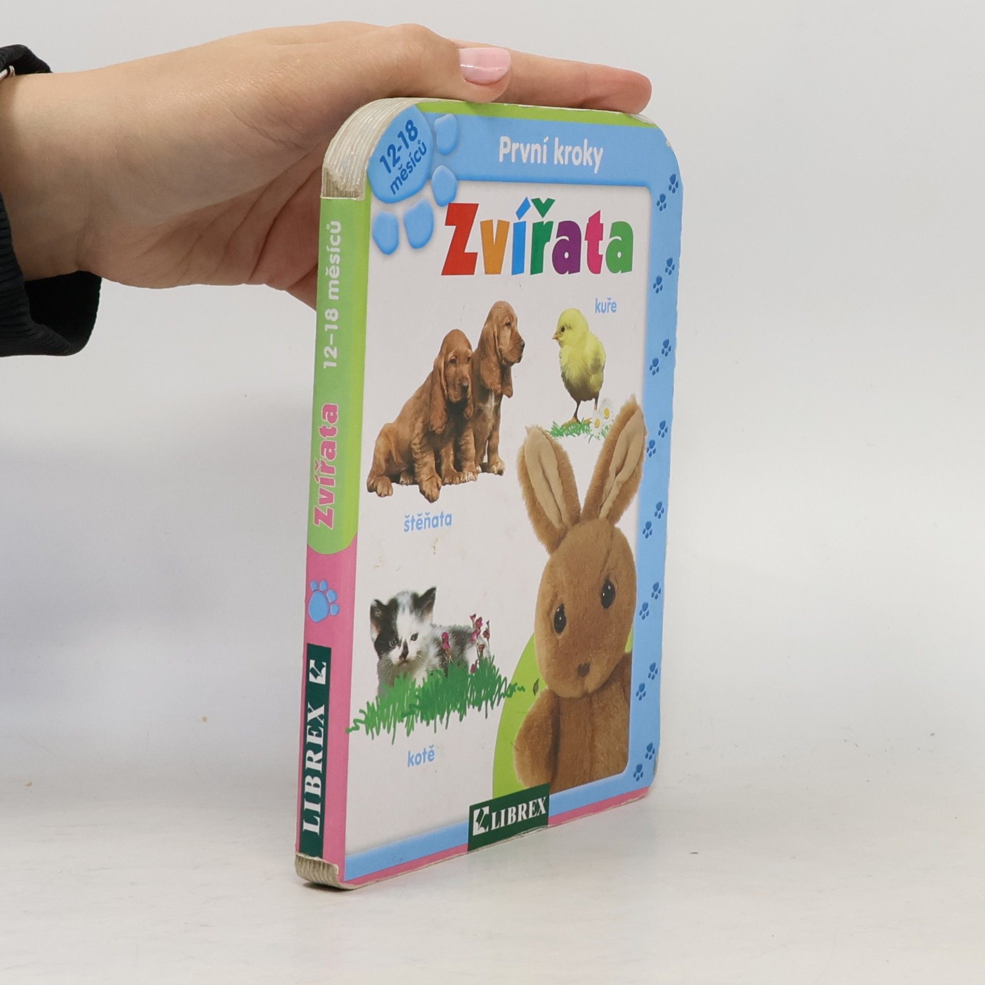 kolektiv Zvířata