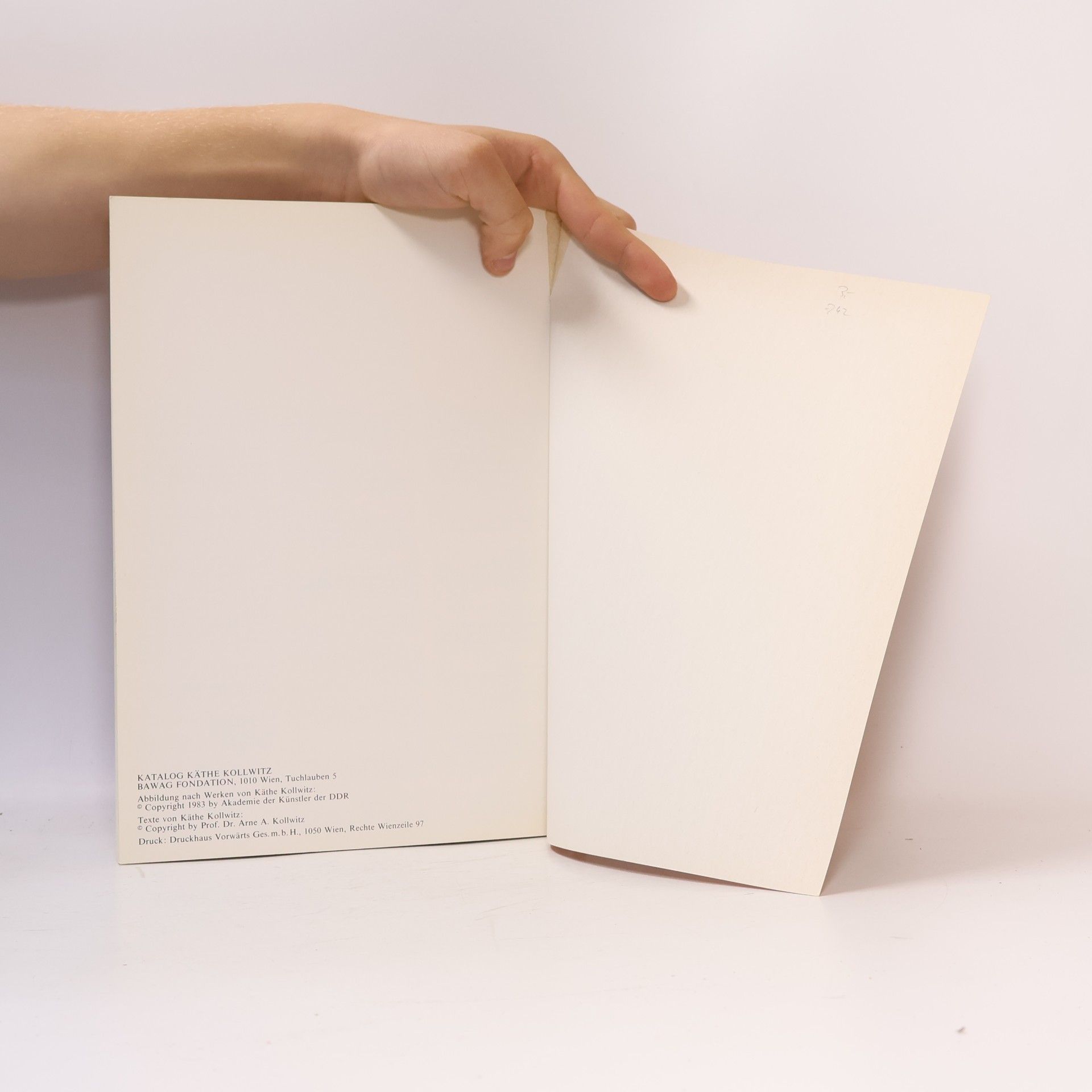 kolektiv Kollwitz Graphik