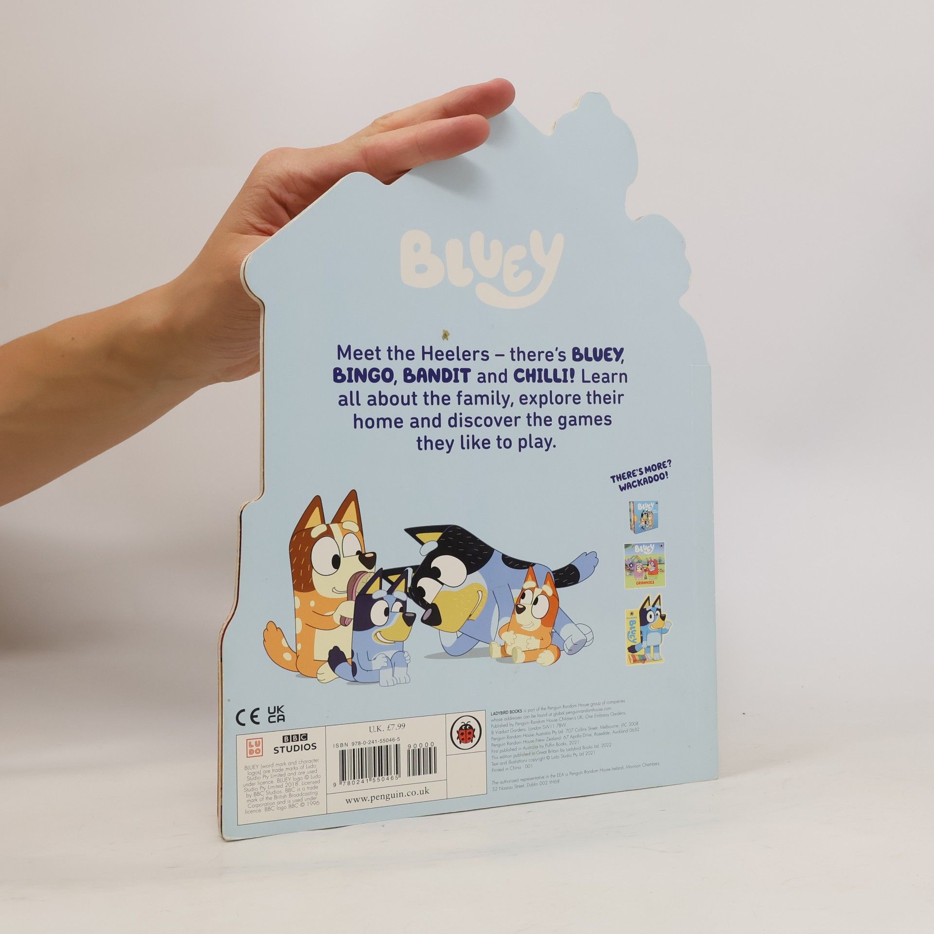 Autorenkollektiv Bluey at Home with the Heelers