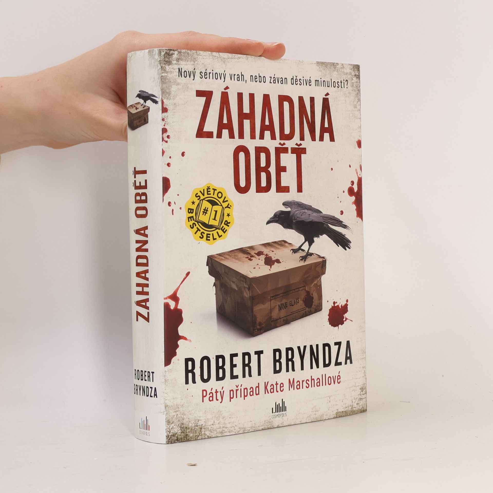 Robert Bryndza Záhadná oběť