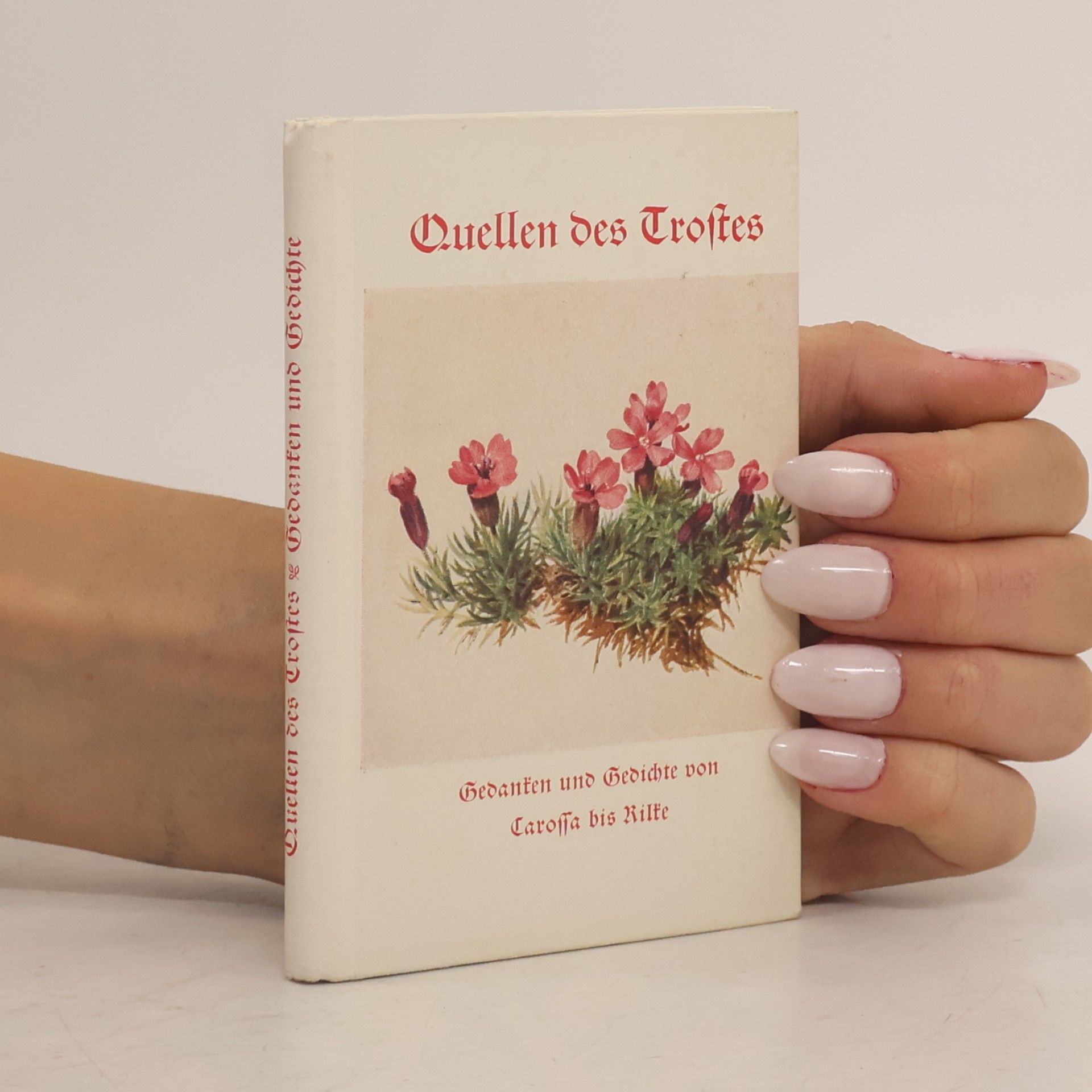 Autorenkollektiv Quellen des Trostes
