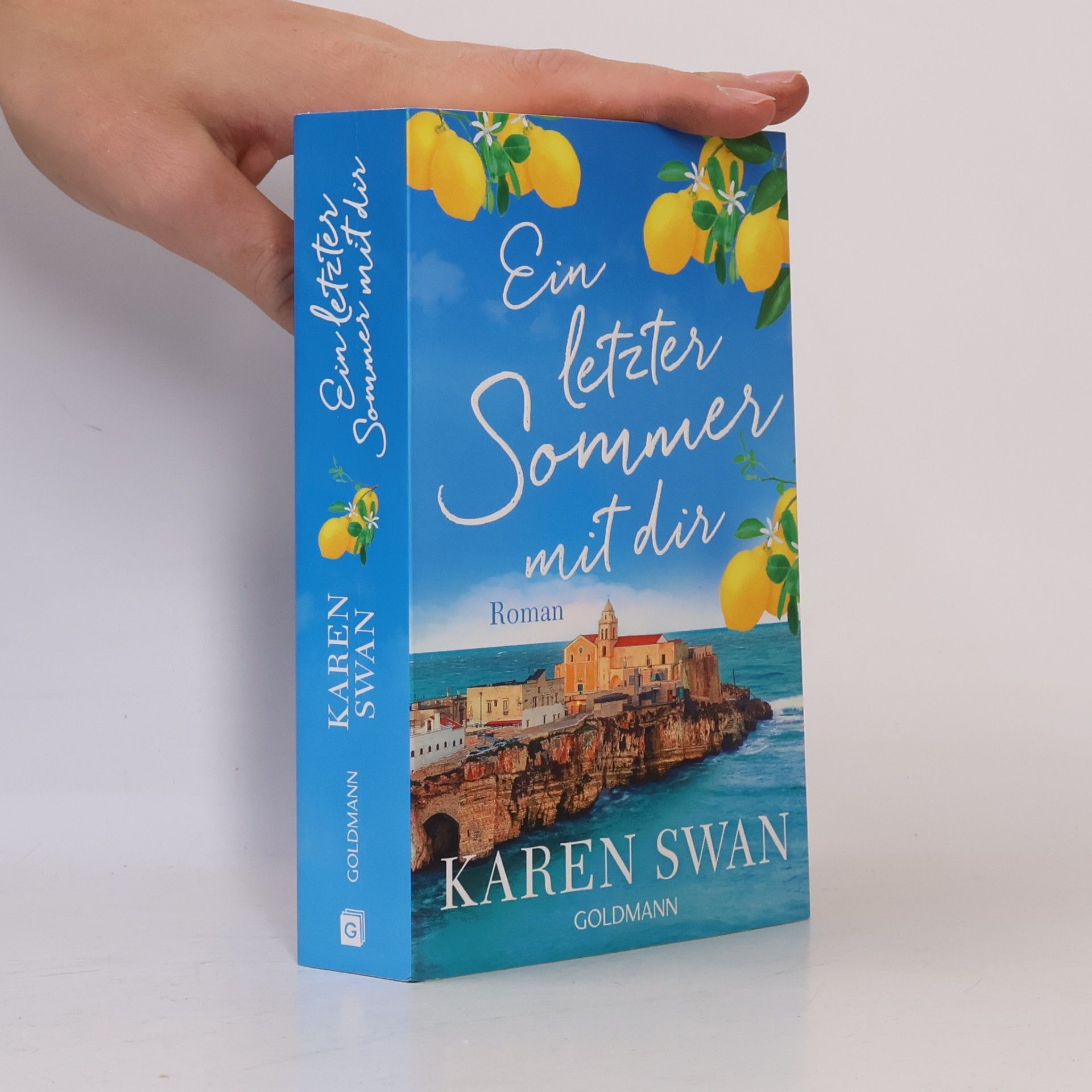 Karen Swan Ein letzter Sommer mit dir