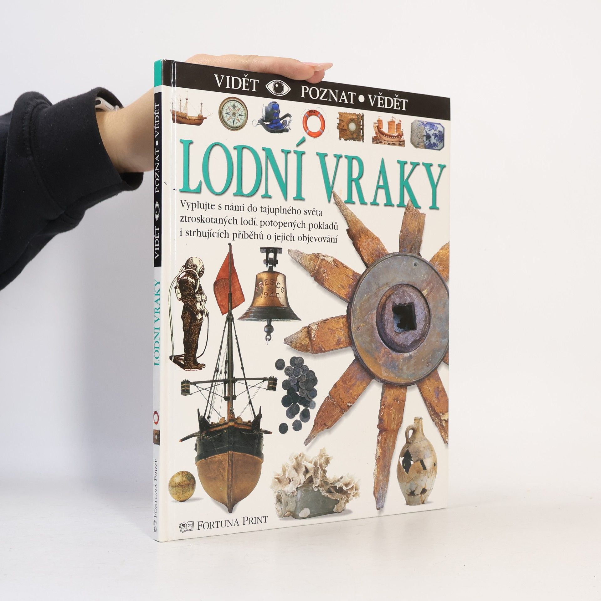Richard Platt Lodní vraky