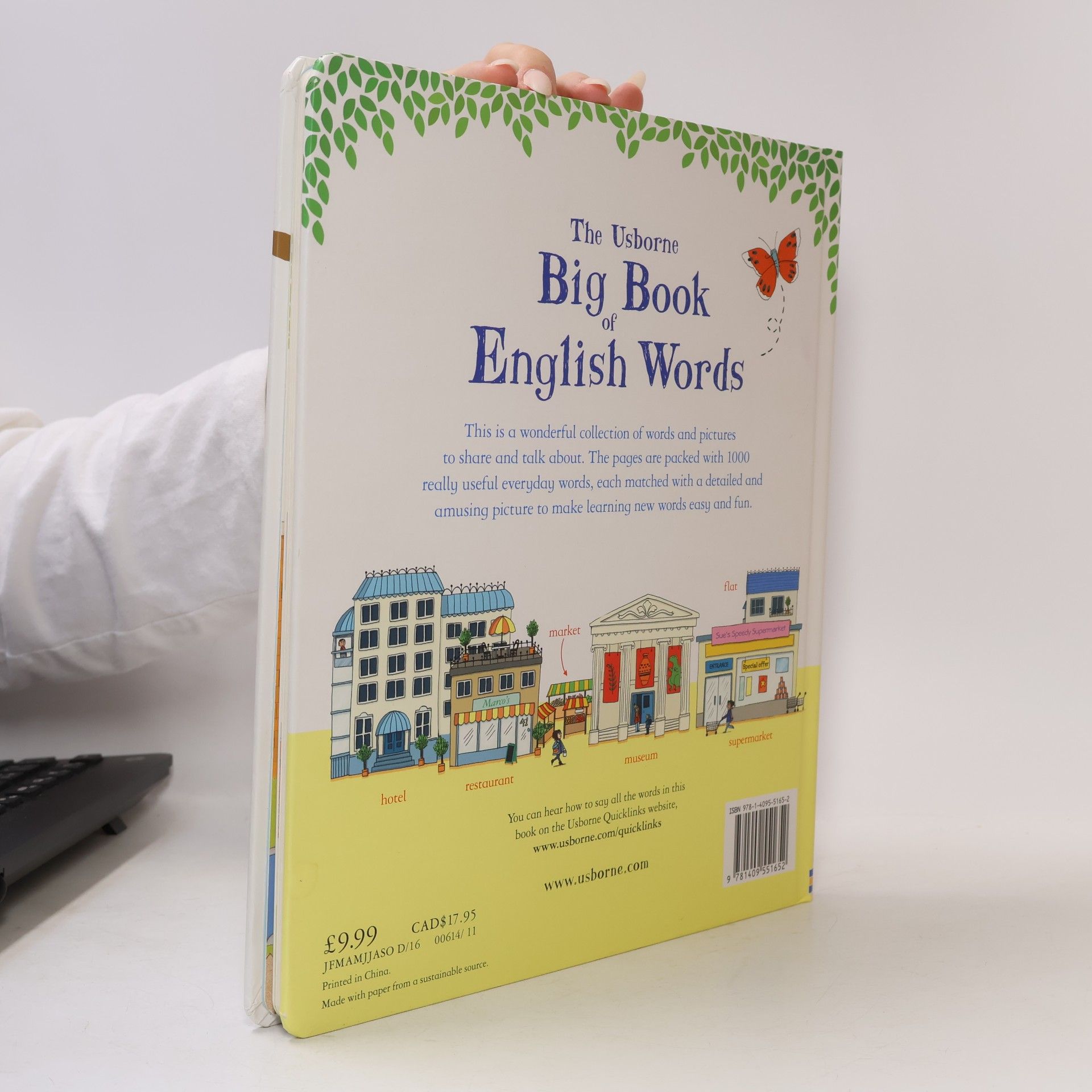 Mairi Mackinnon The Usborne Big Book of English Words