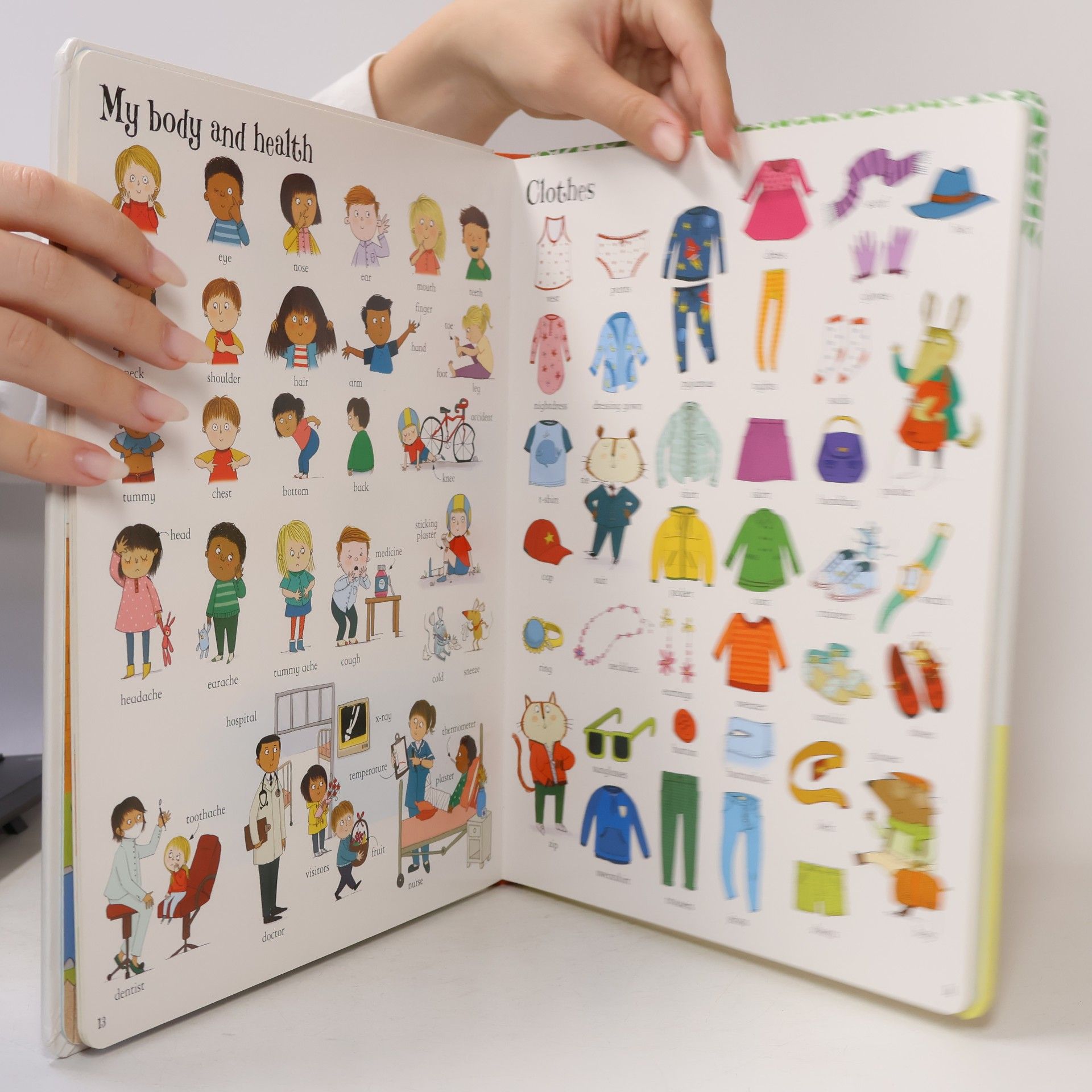 Mairi Mackinnon The Usborne Big Book of English Words