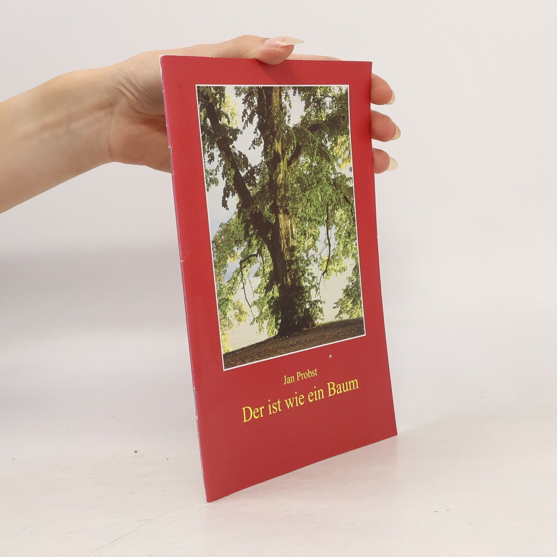 Jan Probst Fundus-Reihe: Der ist wie ein Baum