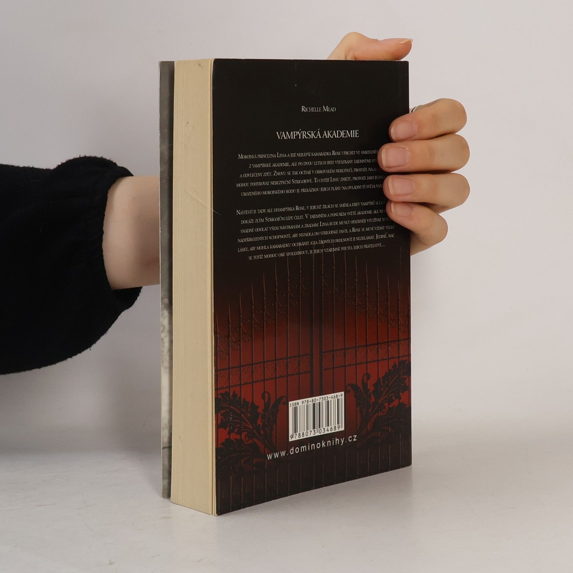 Richelle Mead Vampýrská akademie