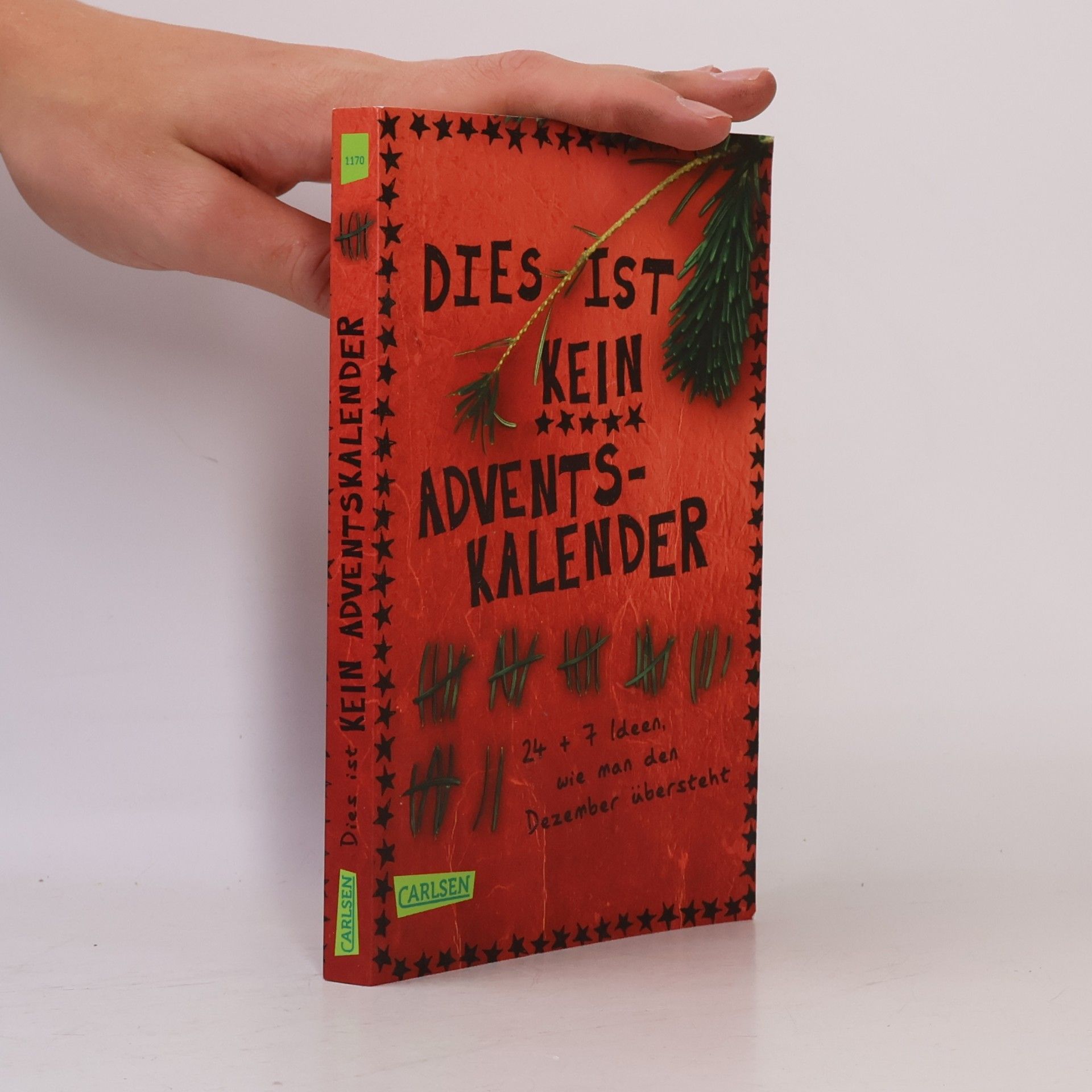 Nikki Busch Dies ist kein Adventskalender