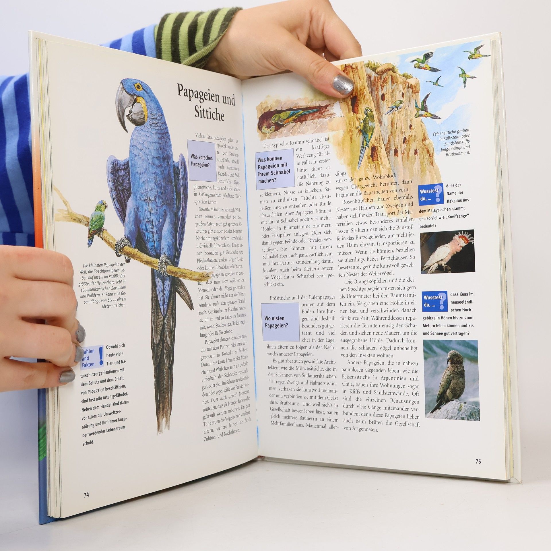 Antwortbuch Natur & Tiere, Geschichte, Technik, Wissenschaft