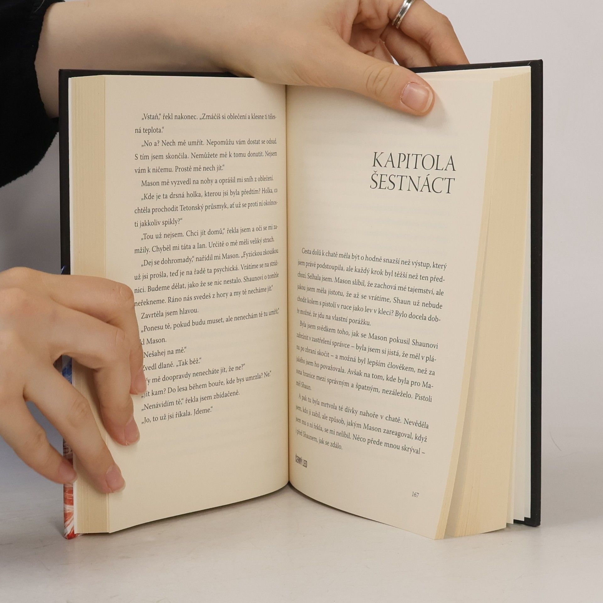 Becca Fitzpatrick Černý led