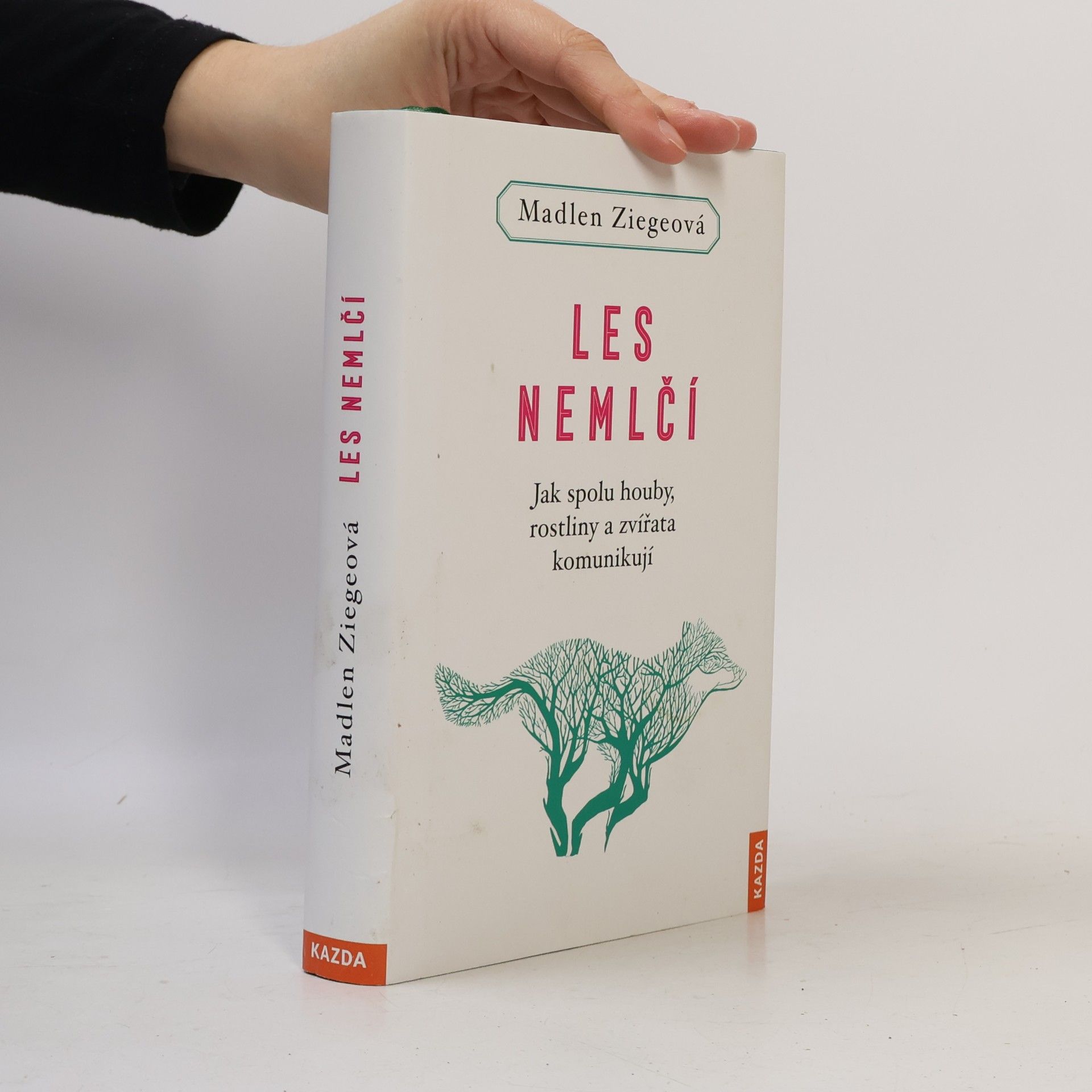 Madlen Ziege Les nemlčí : jak spolu houby, rostliny a zvířata komunikují