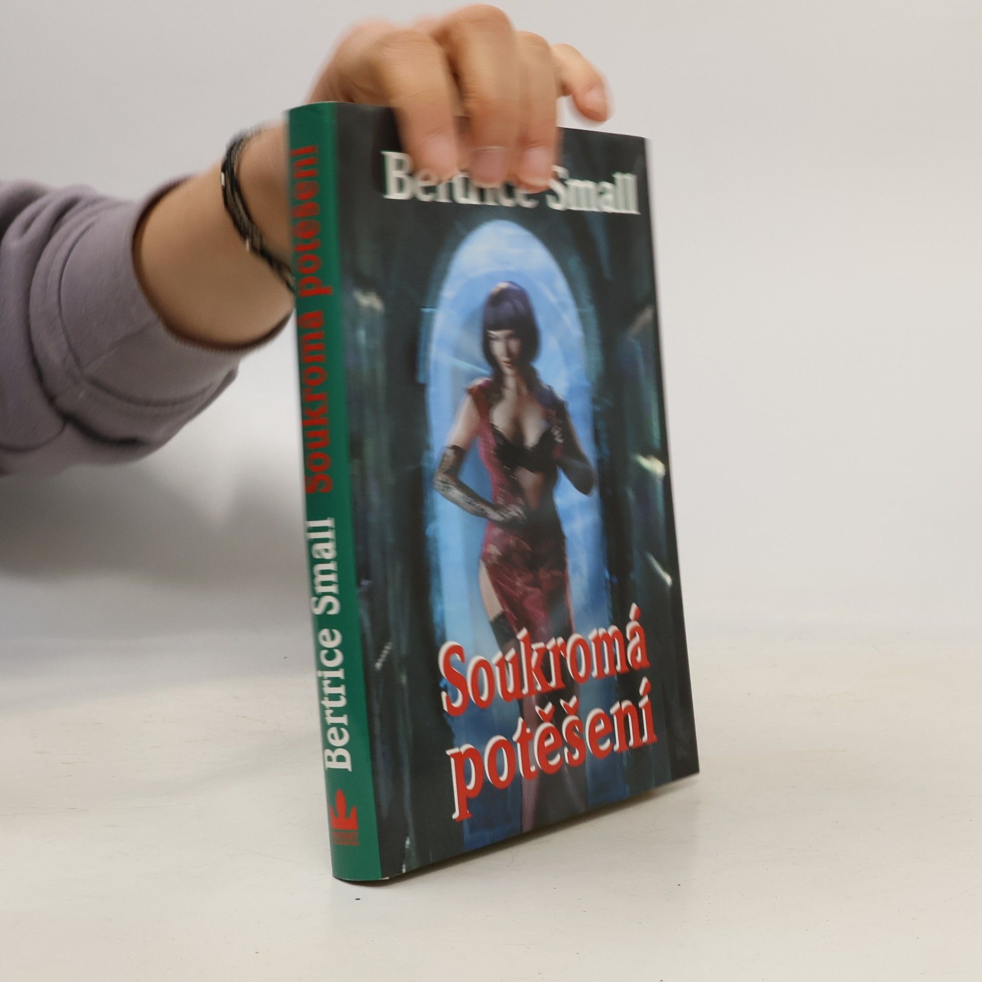 Bertrice Small Soukromá potěšení