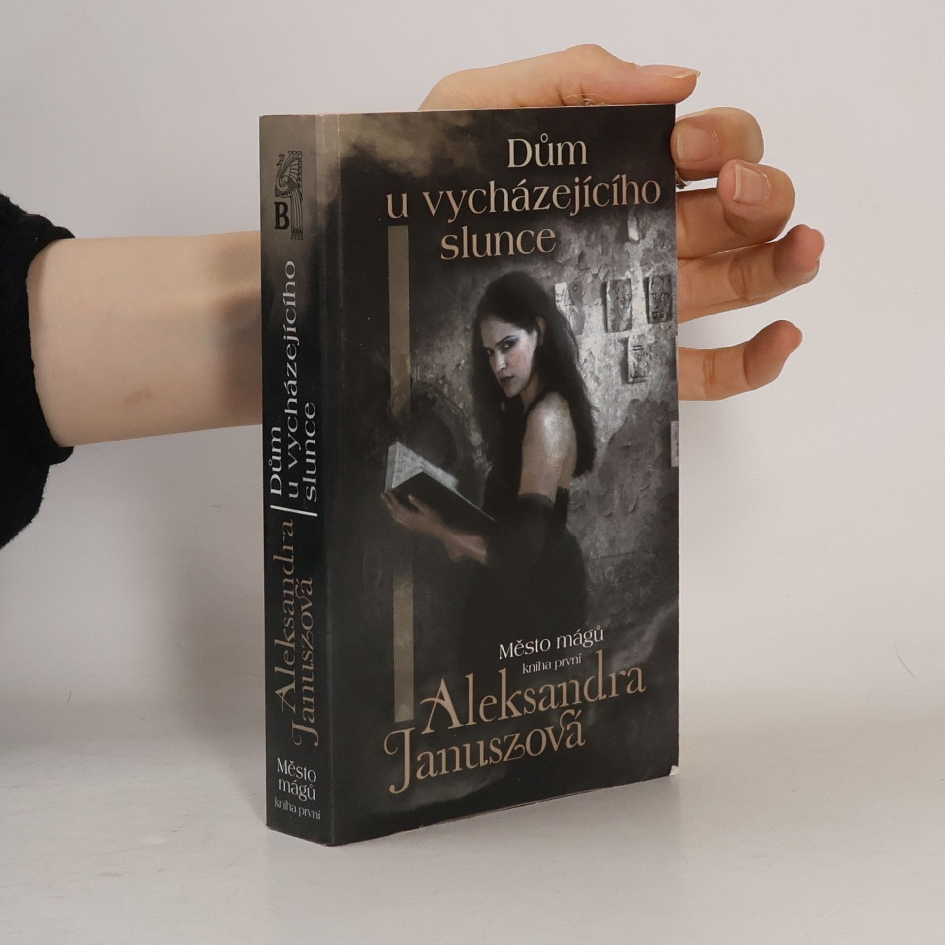 Aleksandra Janusz Dům u vycházejícího slunce. Město mágů 1