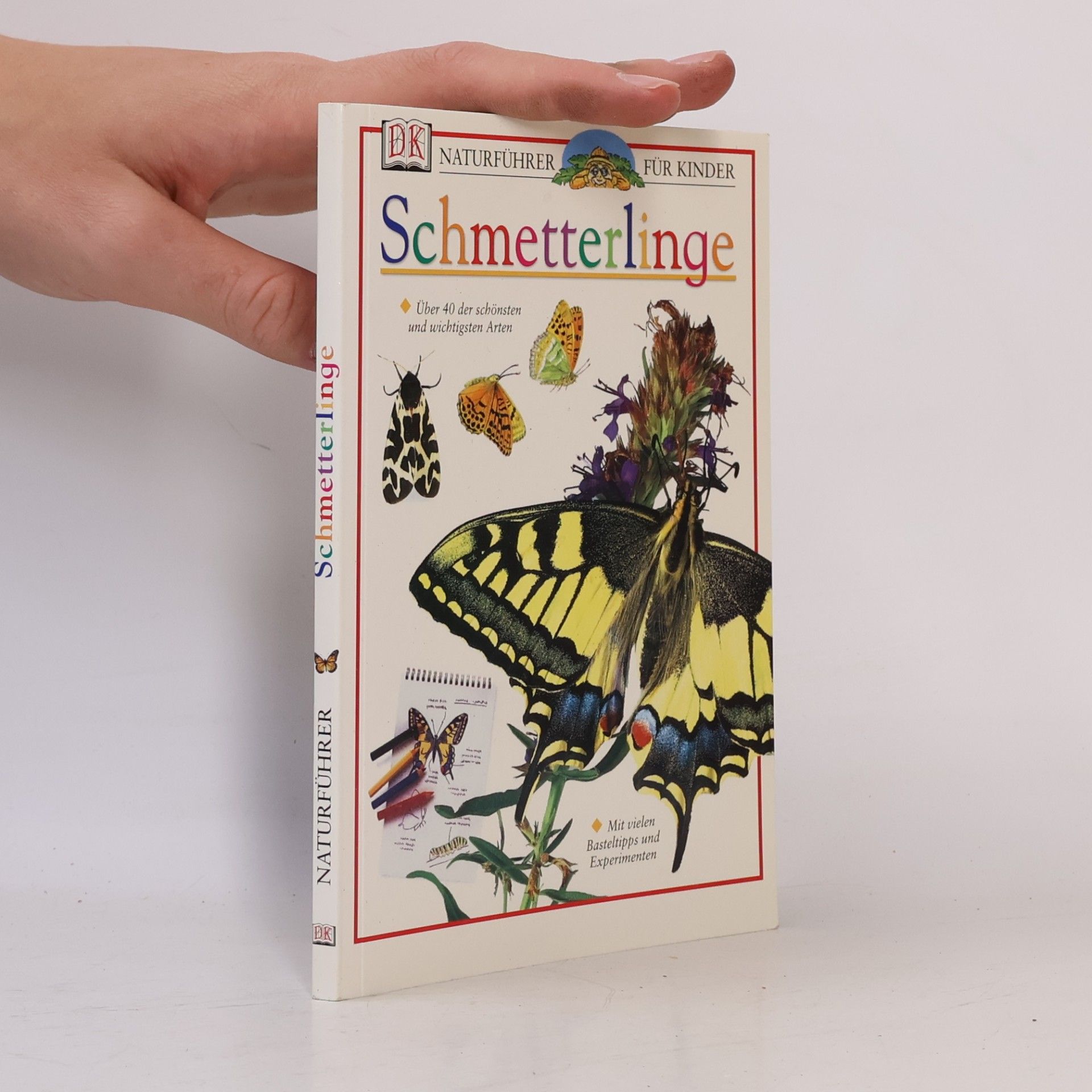 Naturführer für Kinder: Schmetterlinge