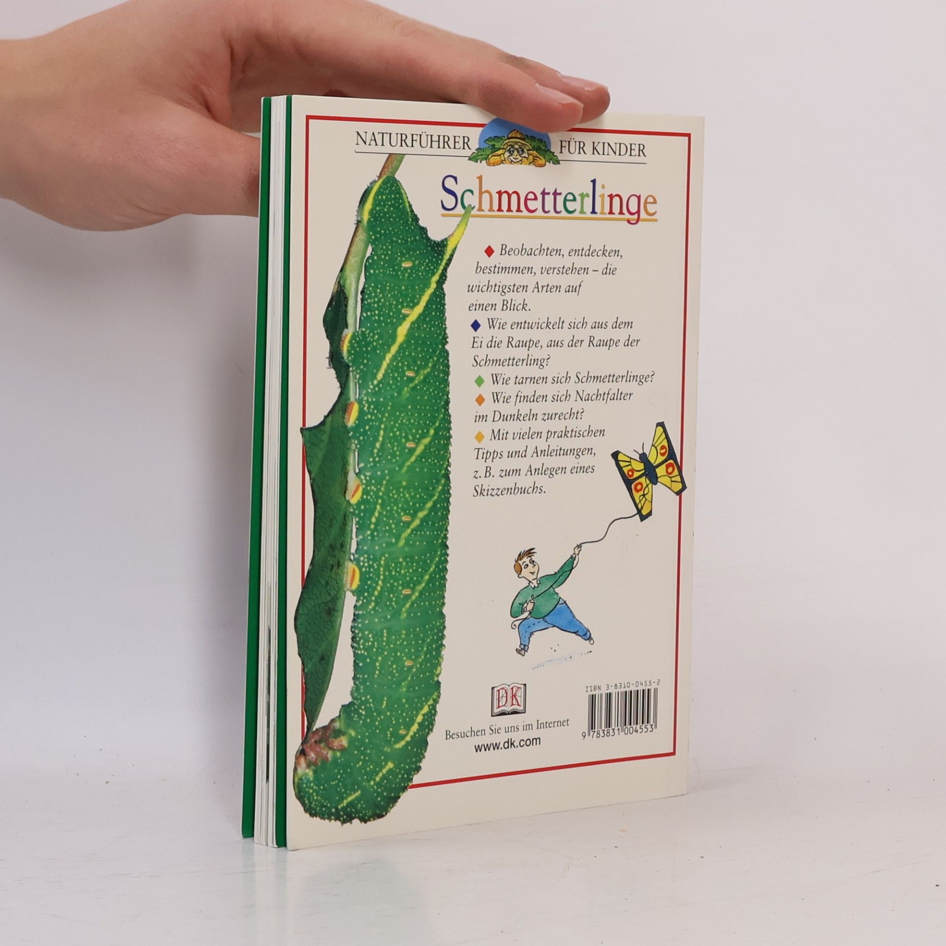 John Feltwell Naturführer für Kinder: Schmetterlinge