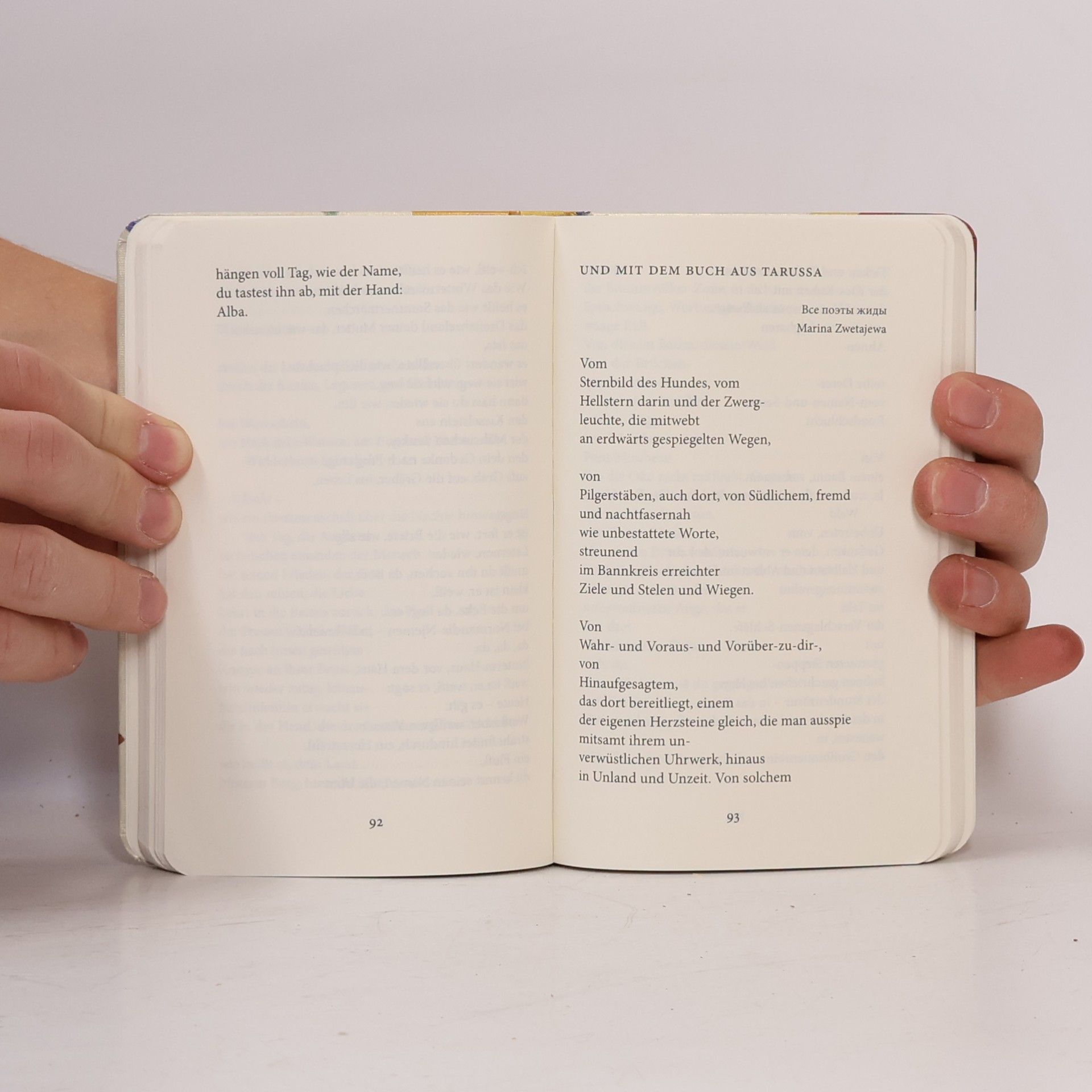 Paul Celan Die Niemandsrose