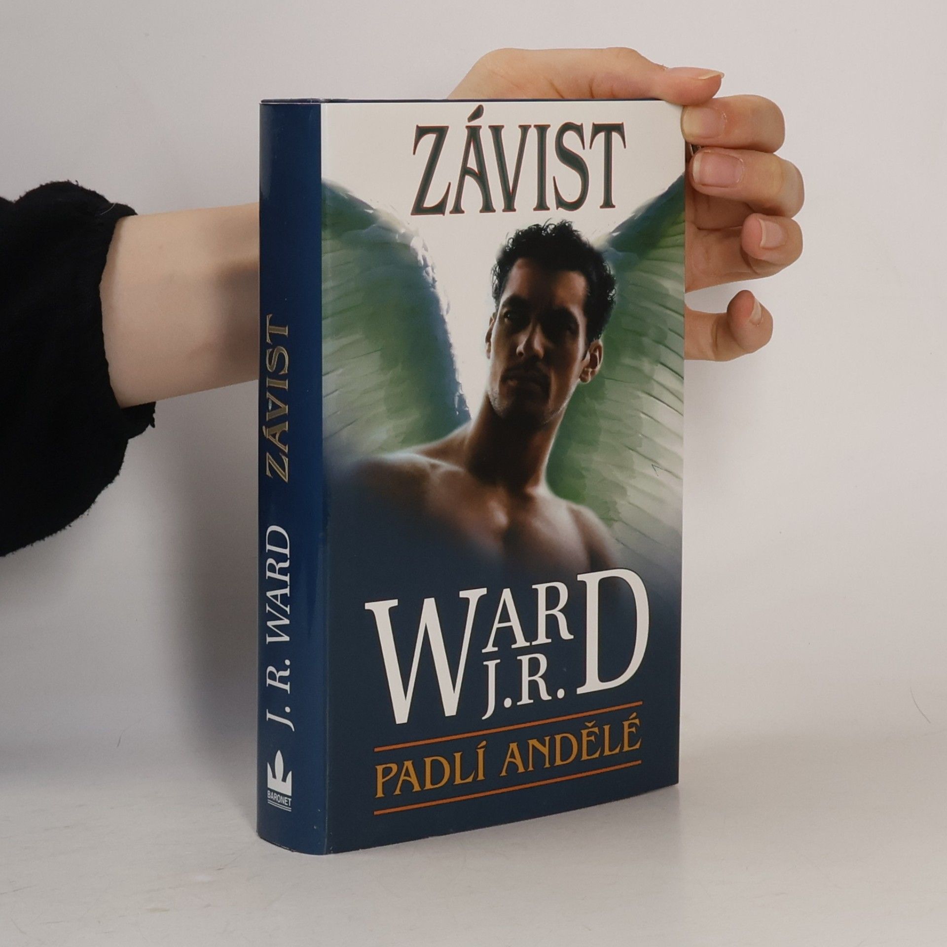John Ward Závist. Padlí andělé. 3. díl