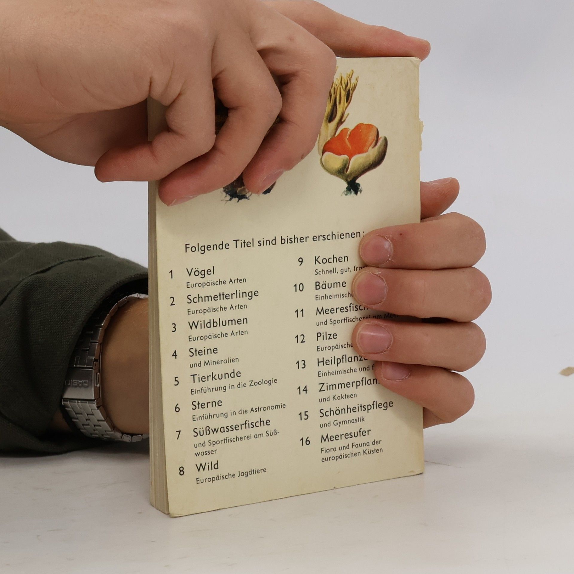 Kolektiv autorů Pilze