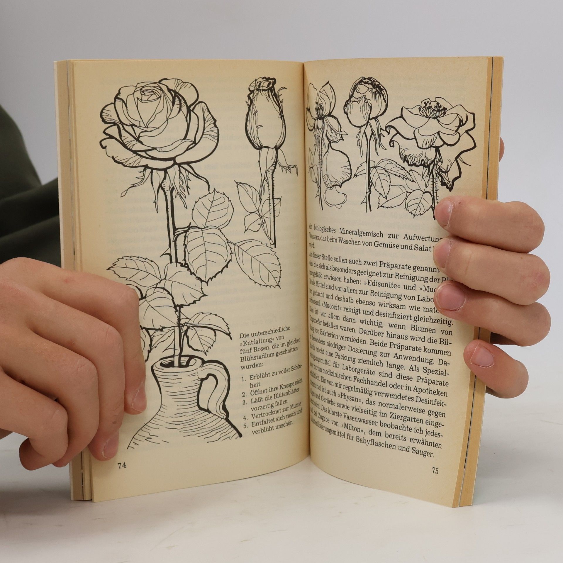 Charlotte Ottens-Lindner Schnittblumen
