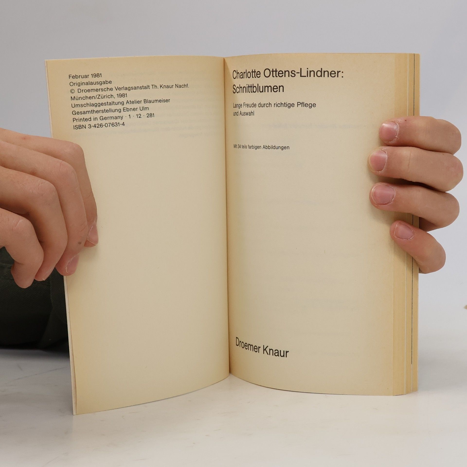 Charlotte Ottens-Lindner Schnittblumen