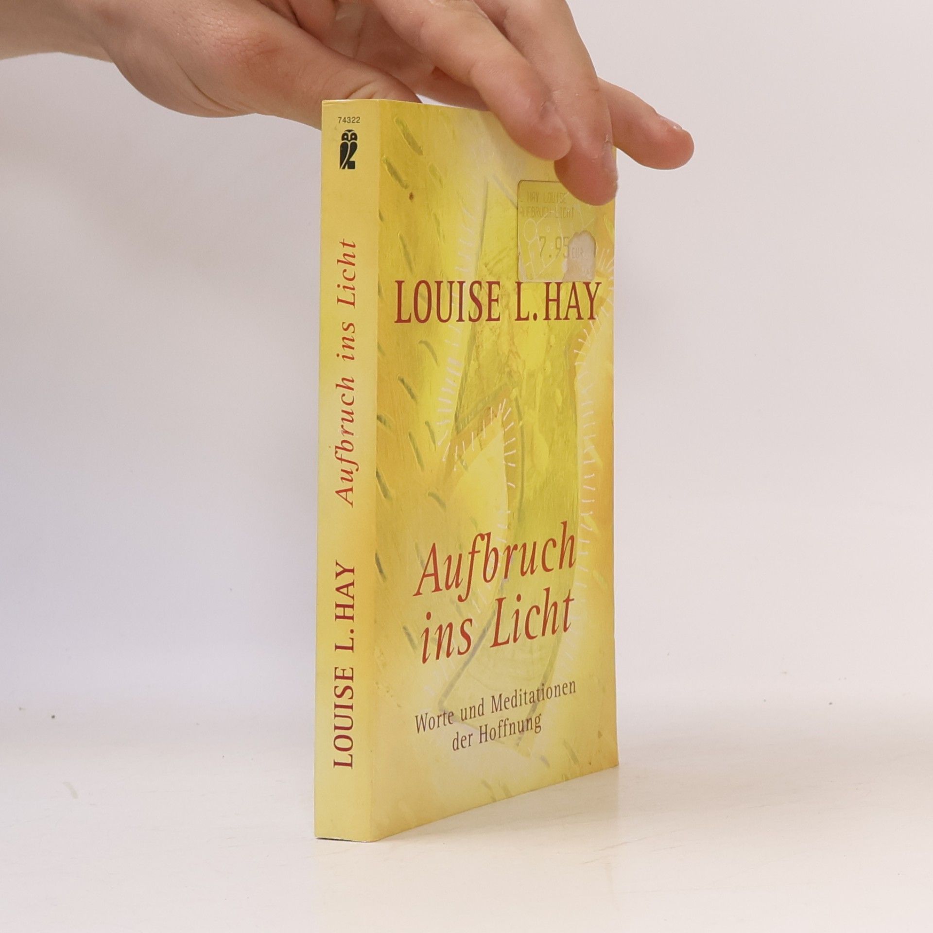 Louise Lynn Hay Aufbruch ins Licht