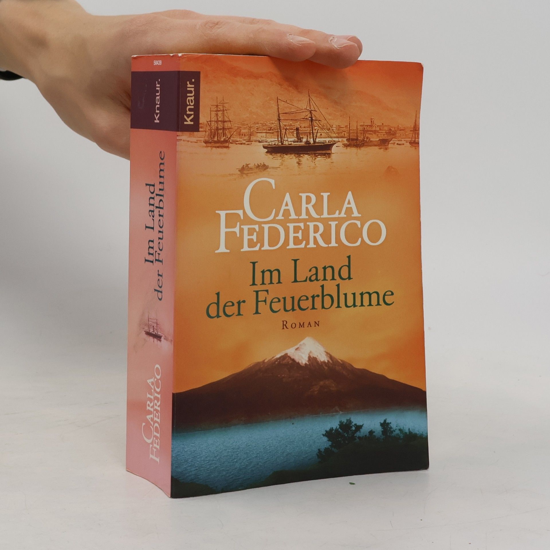 Carla Federico Im Land der Feuerblume