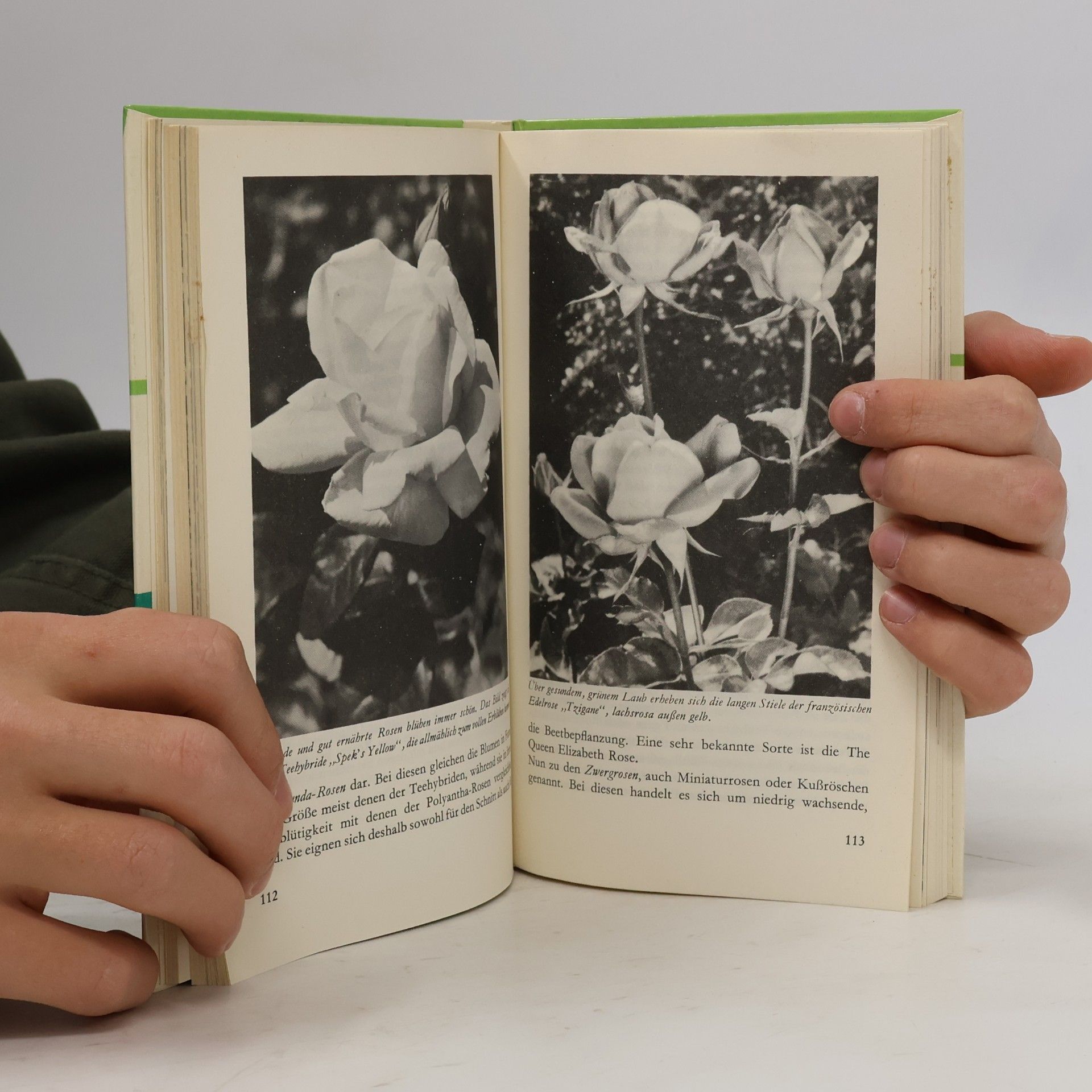 Ernst Schmidt (Autor) Der Garten und seine Jahreszeiten. Der gute Tip