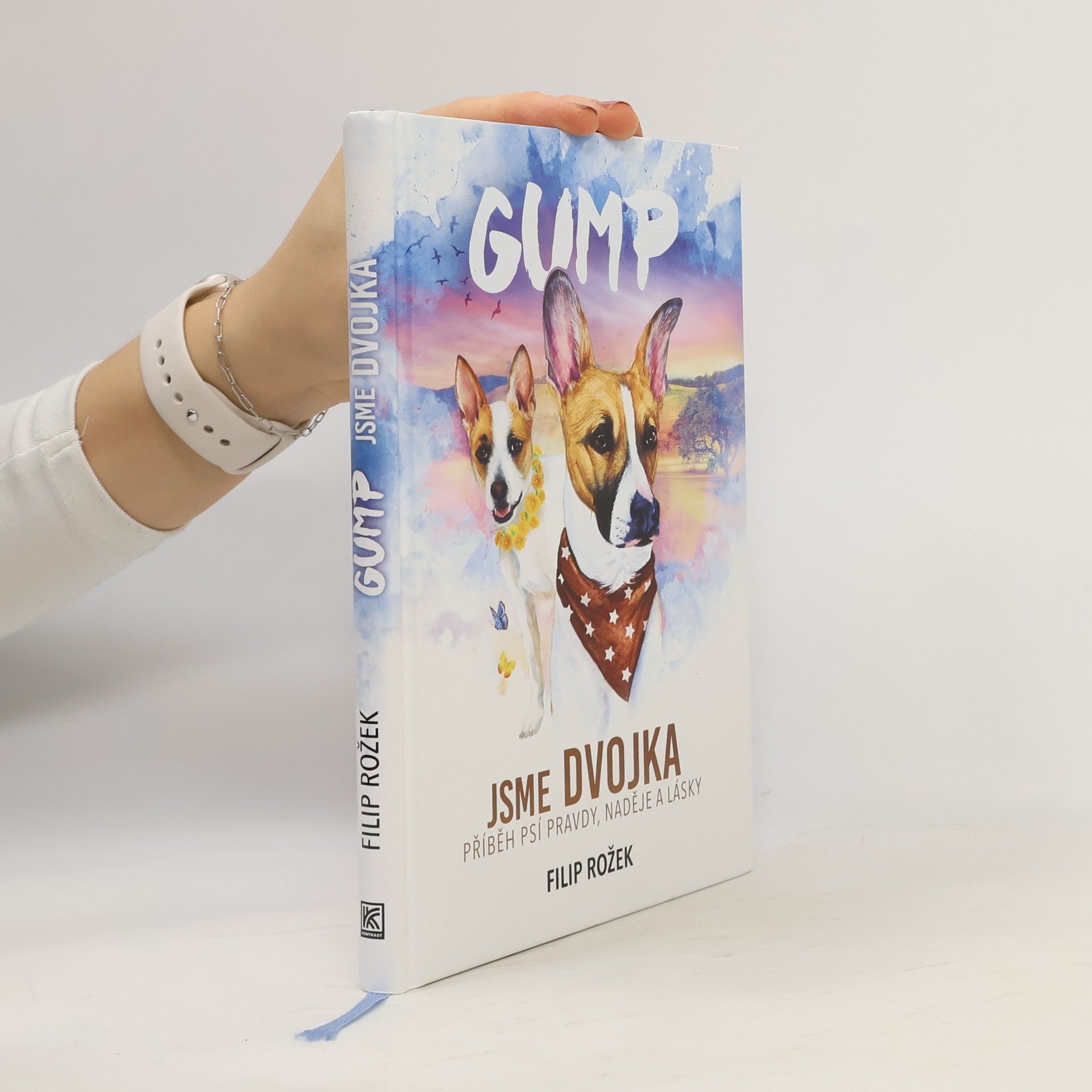 Filip Rožek Gump jsme dvojka: Příběh psí pravdy, naděje a lásky