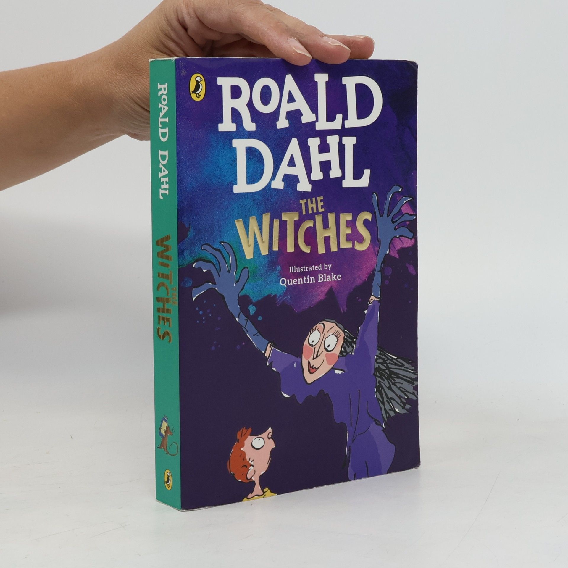 Roald Dahl The Witches