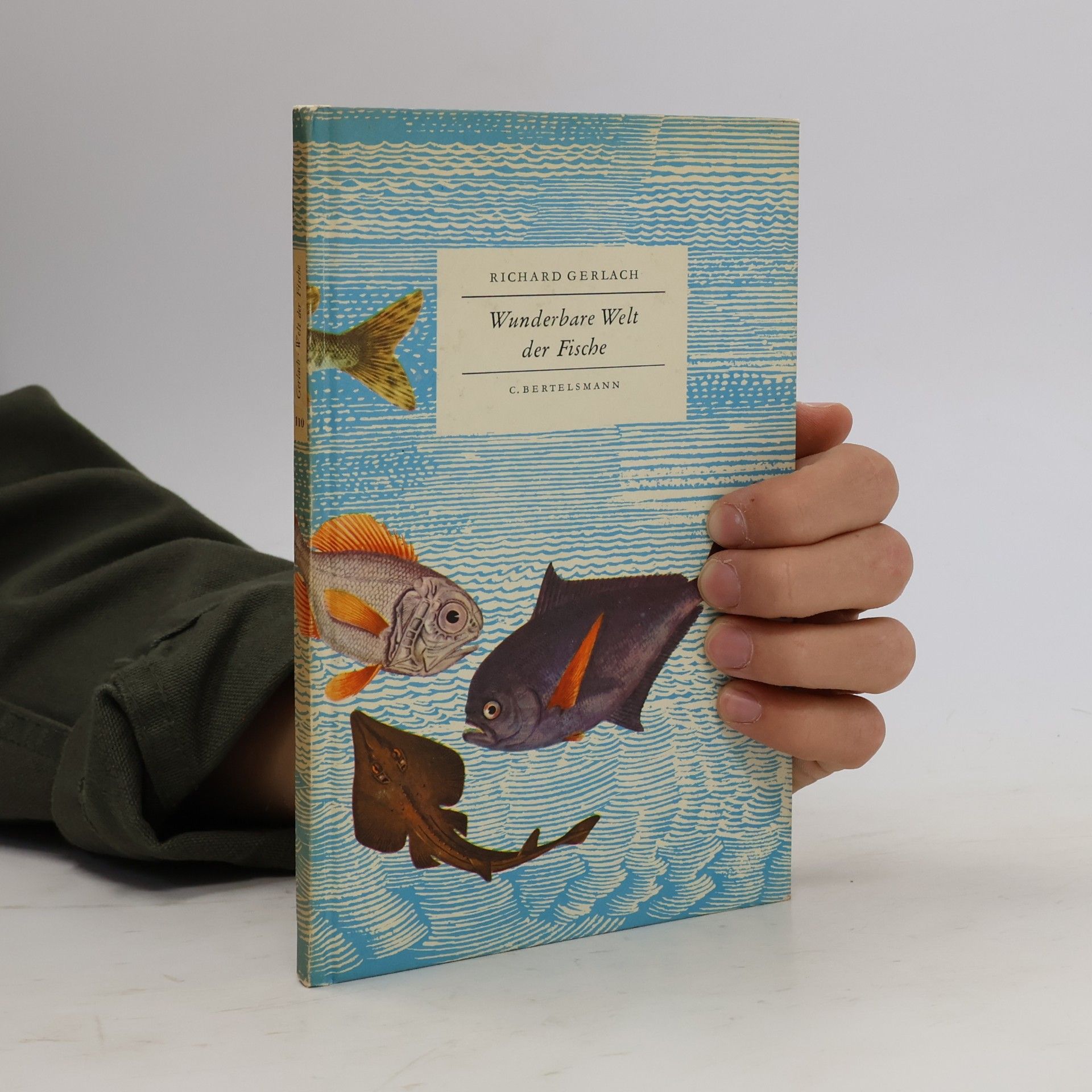 Richard Gerlach Wunderbare Welt der Fische
