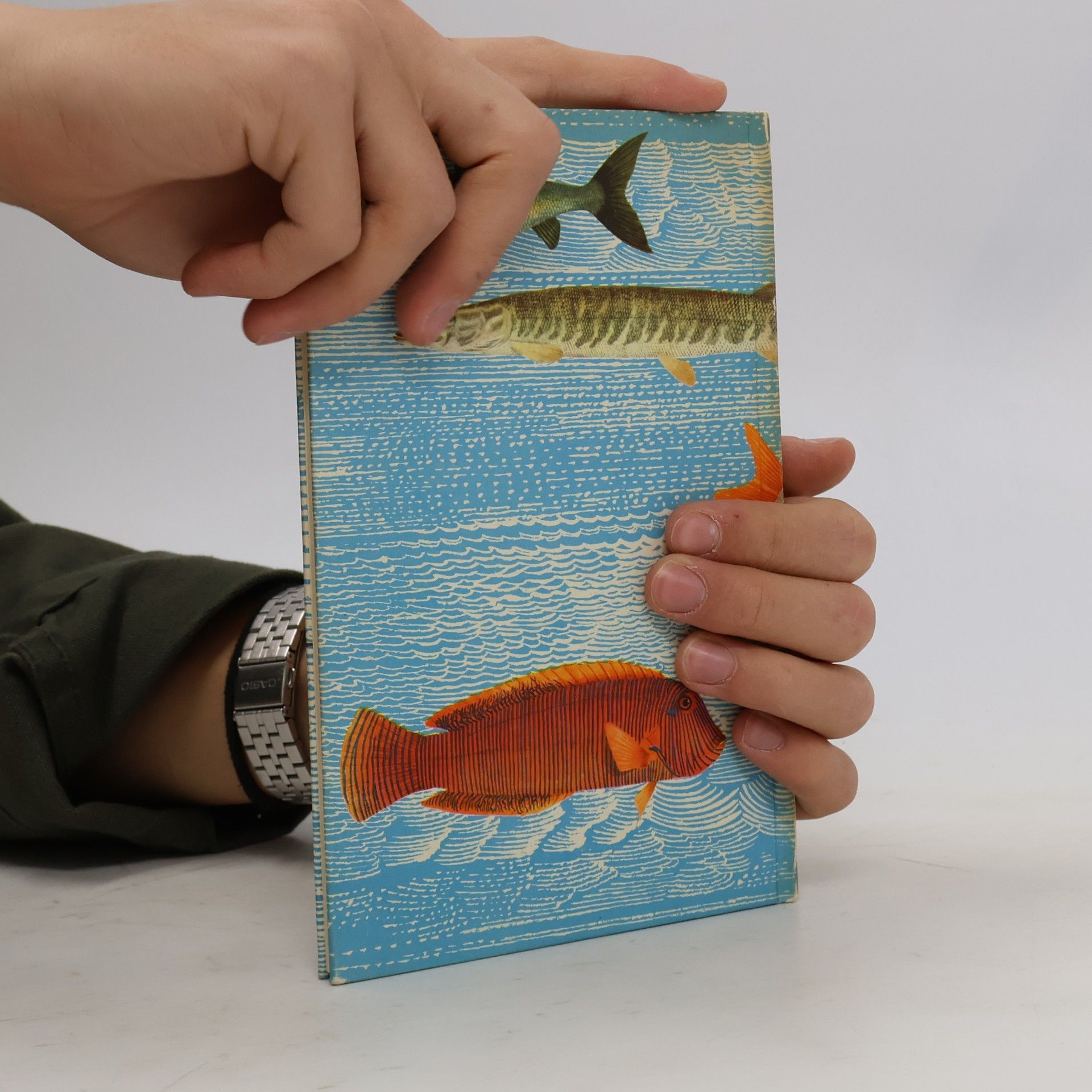 Richard Gerlach Wunderbare Welt der Fische