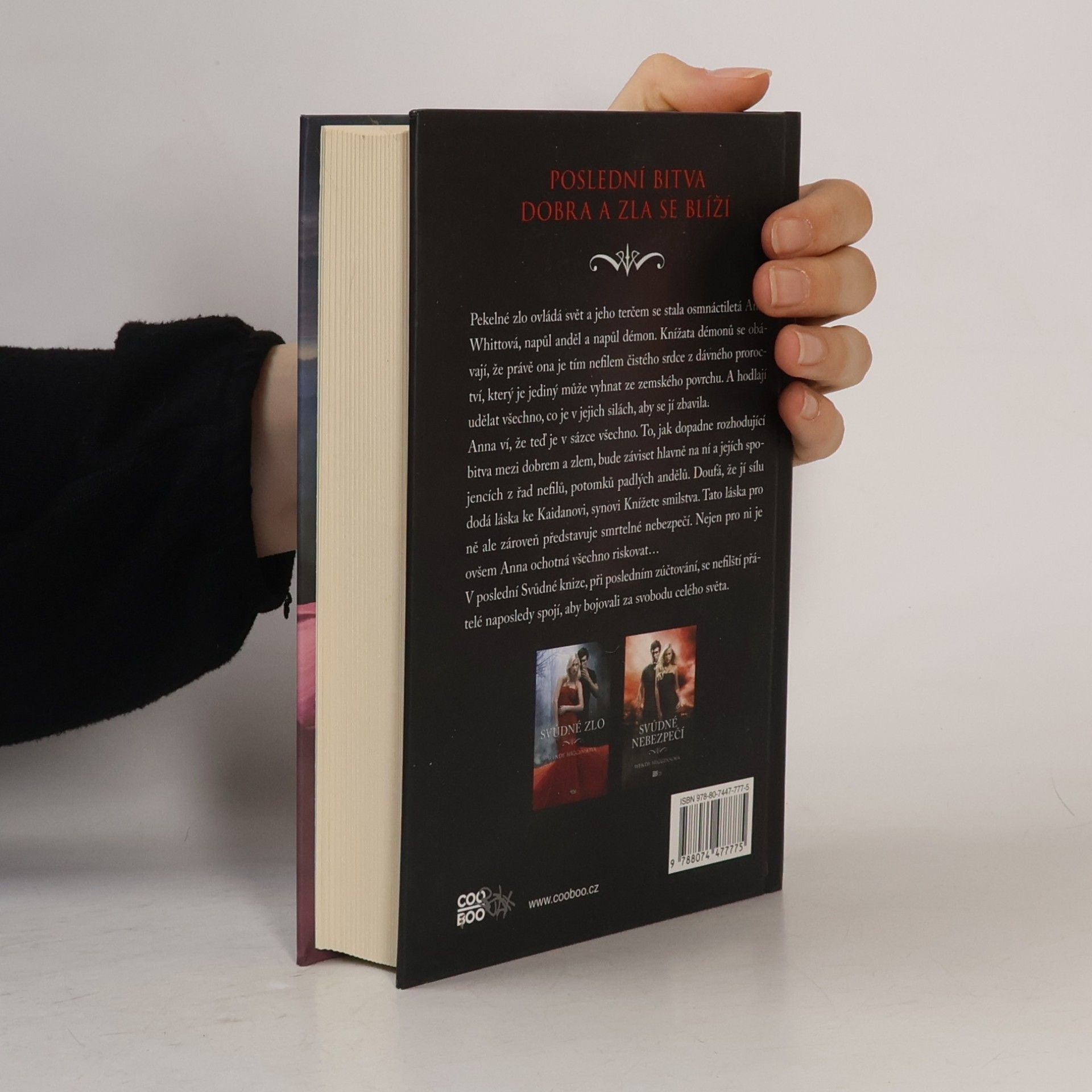 Wendy Higgins Svůdné zúčtování