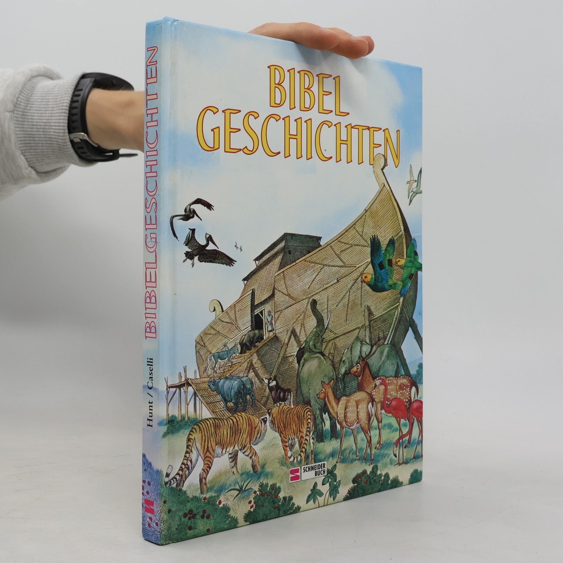 Patricia Hunt Bibelgeschichten