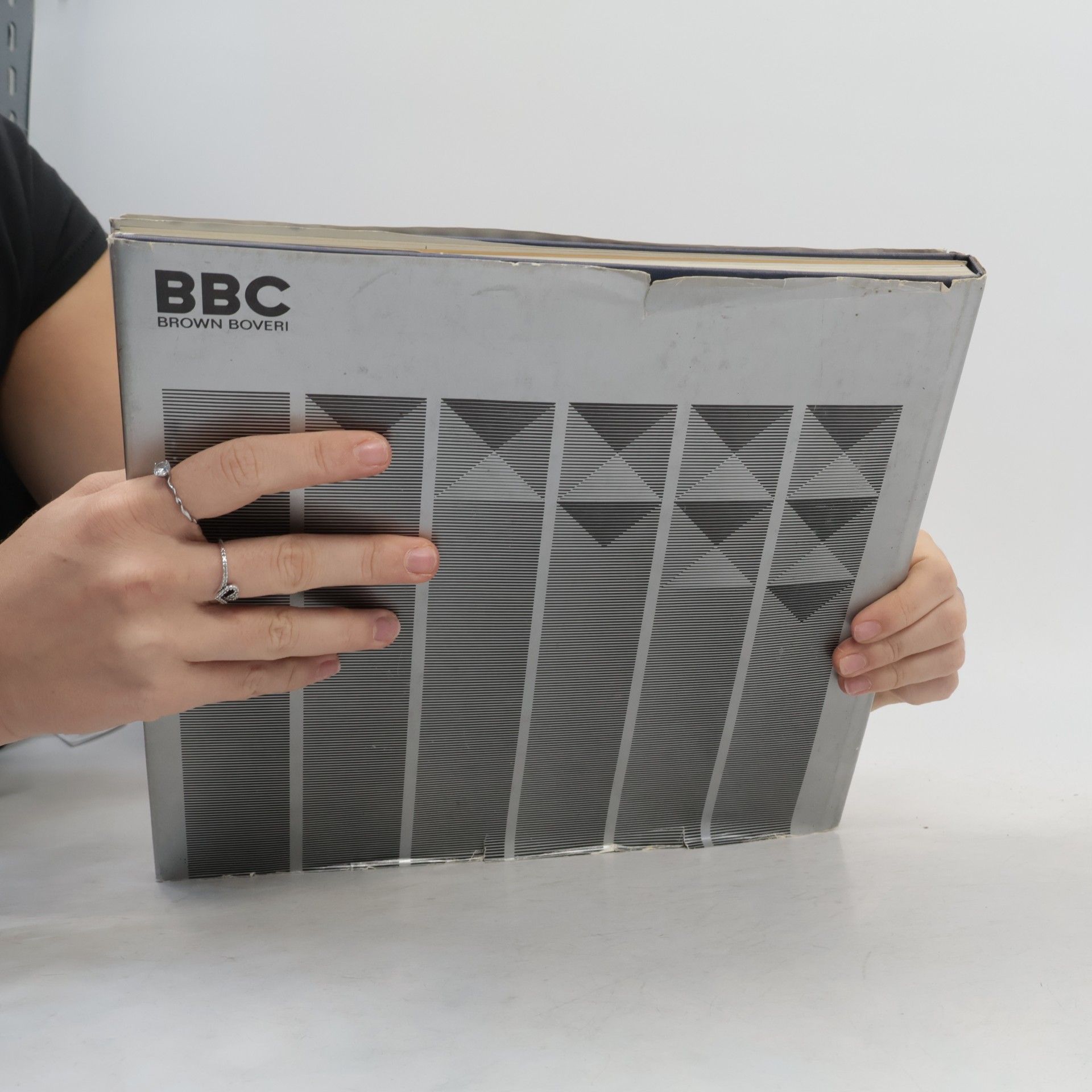 kolektiv BBC MANNHEIM
