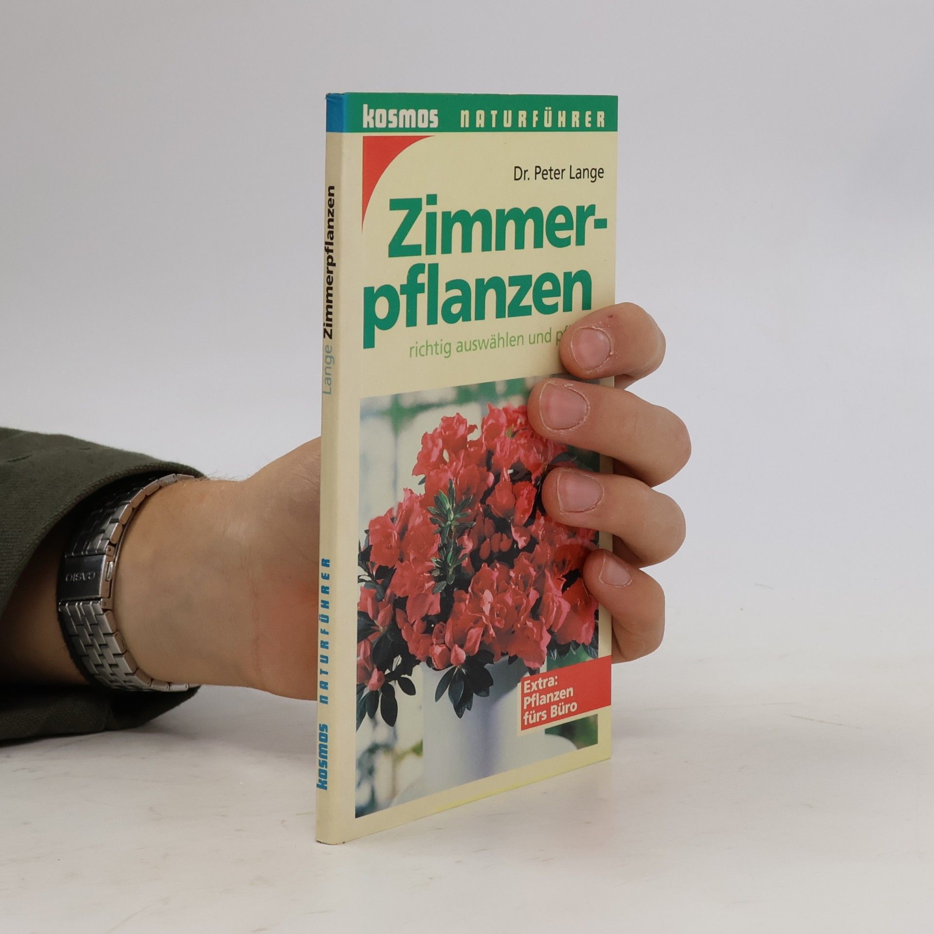 Zimmerpflanzen richtig auswählen und pflegen