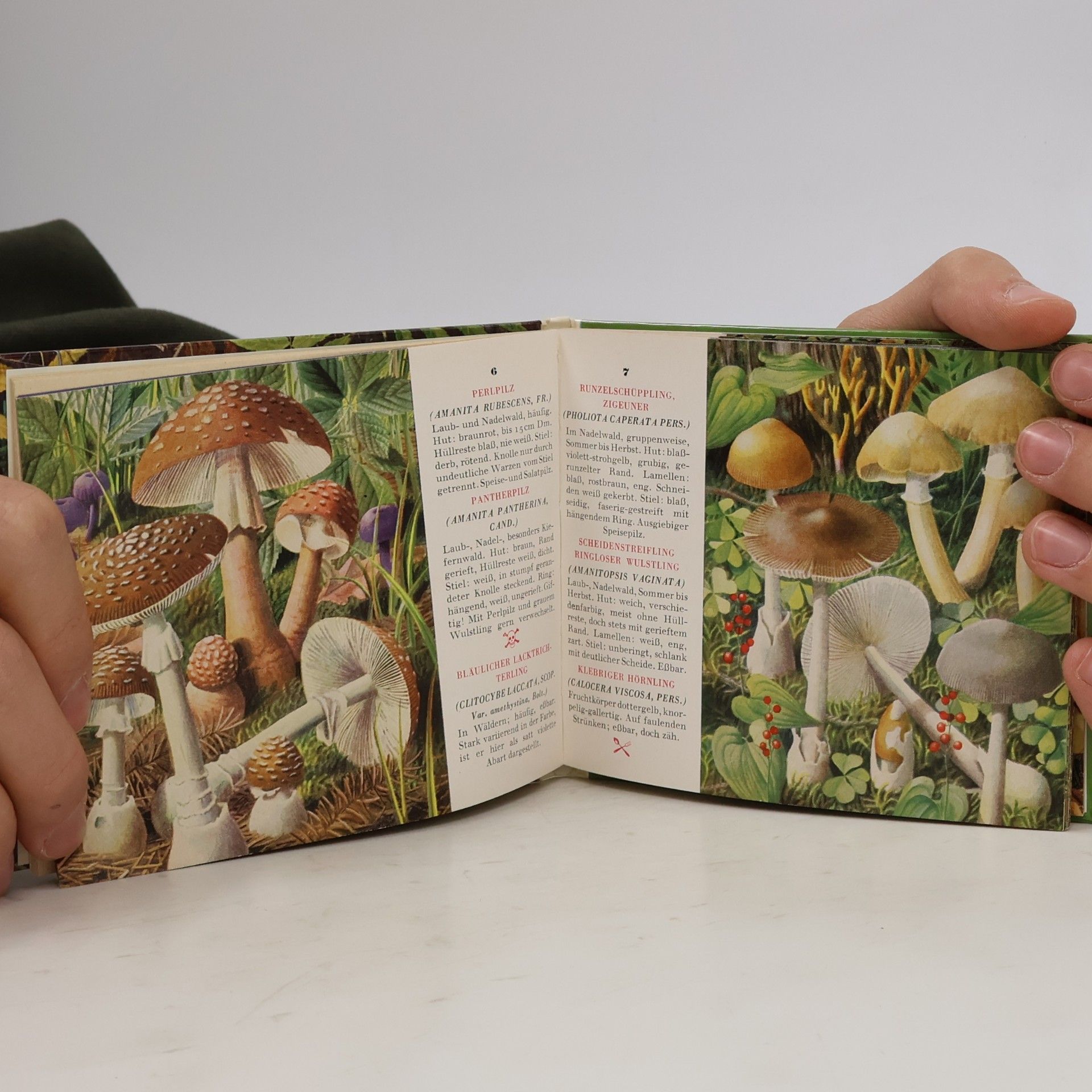 Various authors Pilz Fibel