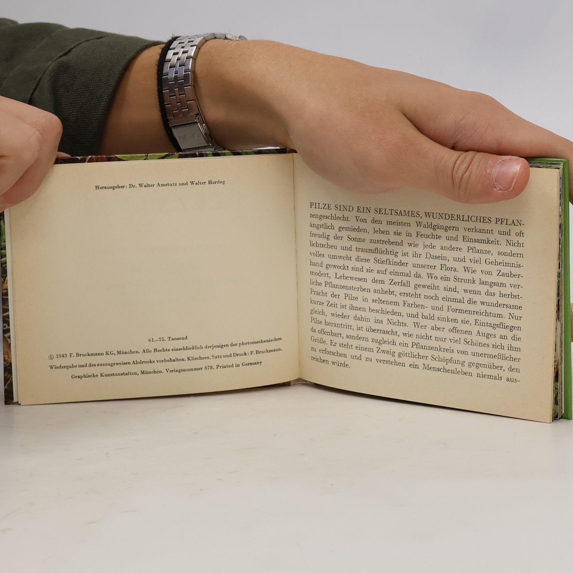 Various authors Pilz Fibel