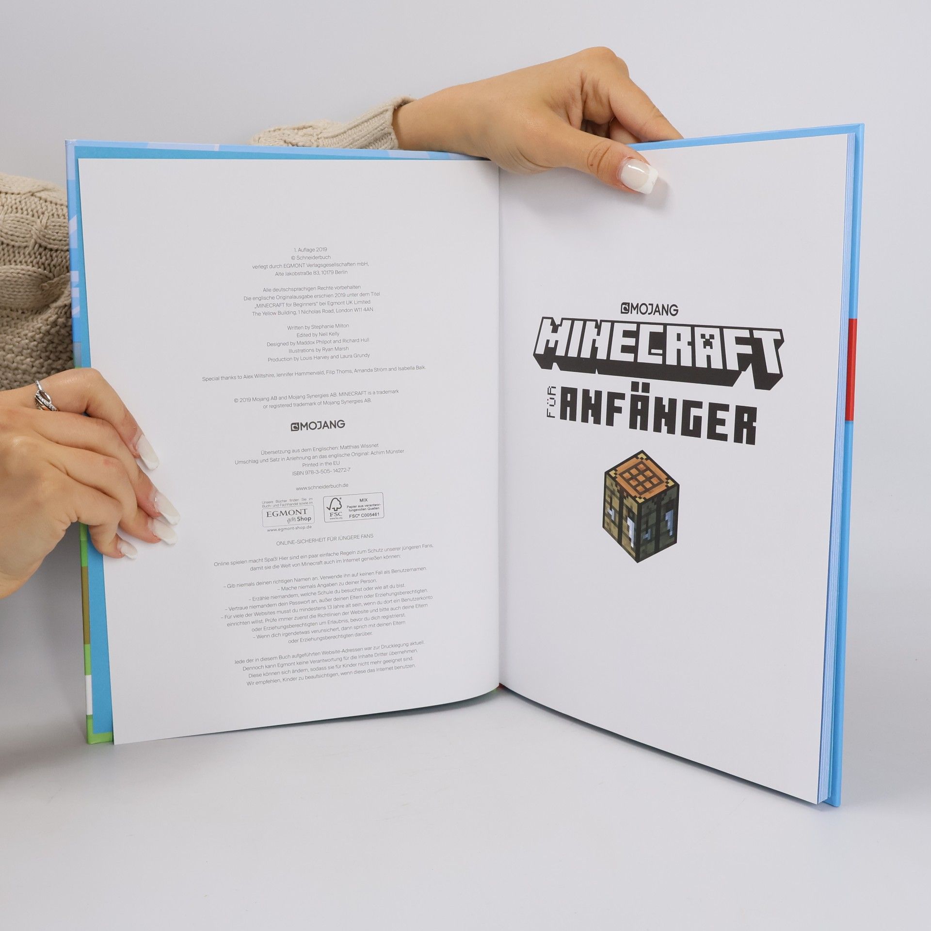 Stephanie Milton Minecraft für Anfänger
