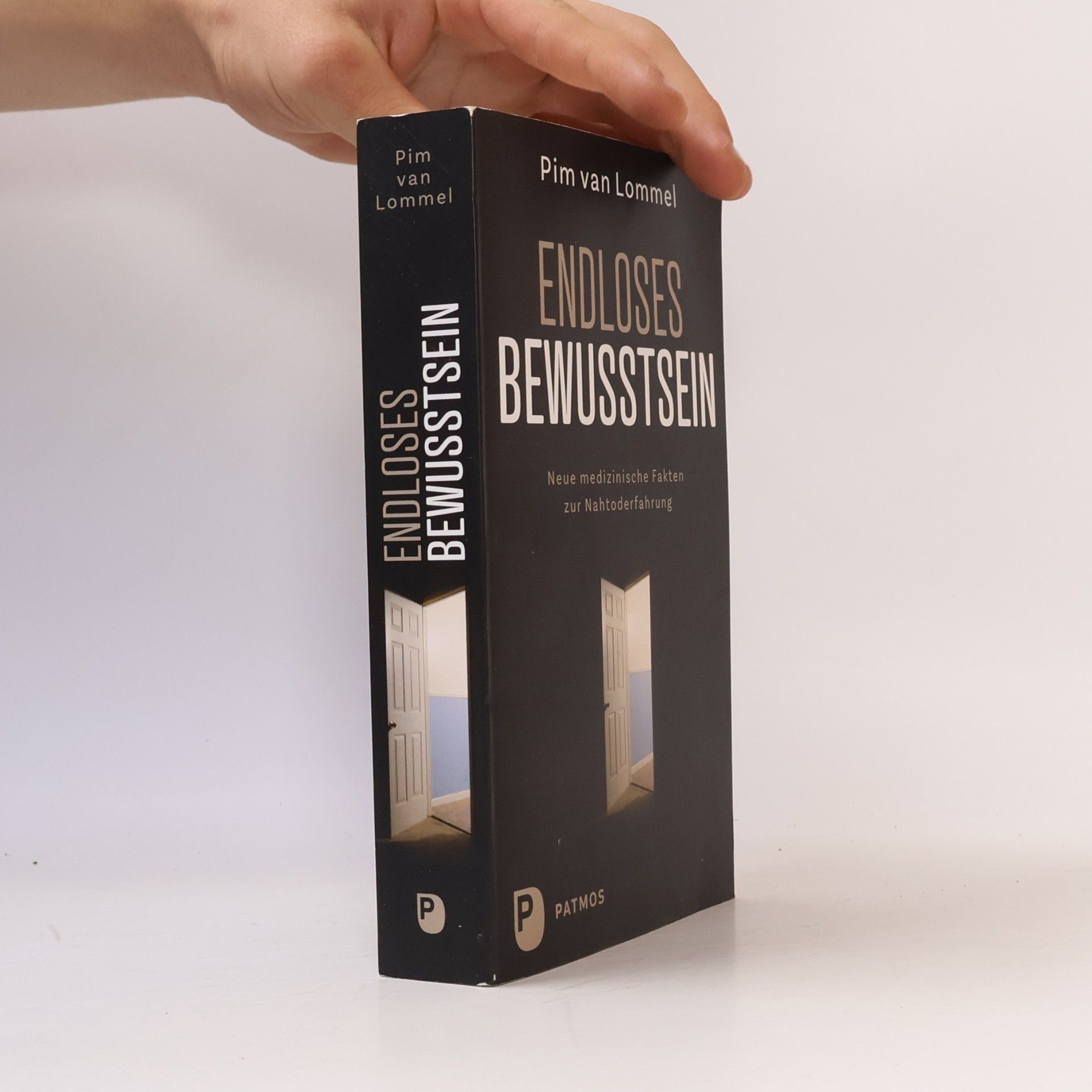 Pim van Lommel Endloses Bewusstsein